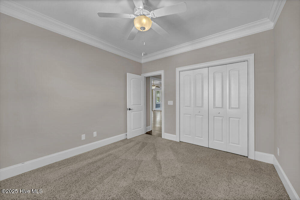 100539818 | Photo 22