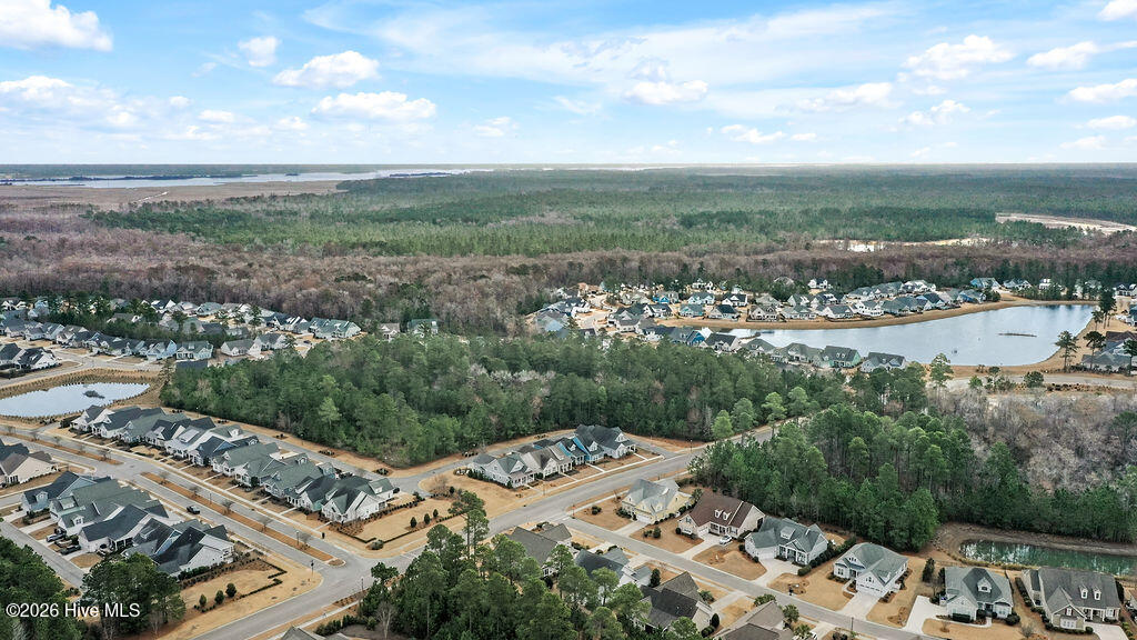 100558721 | Photo 53