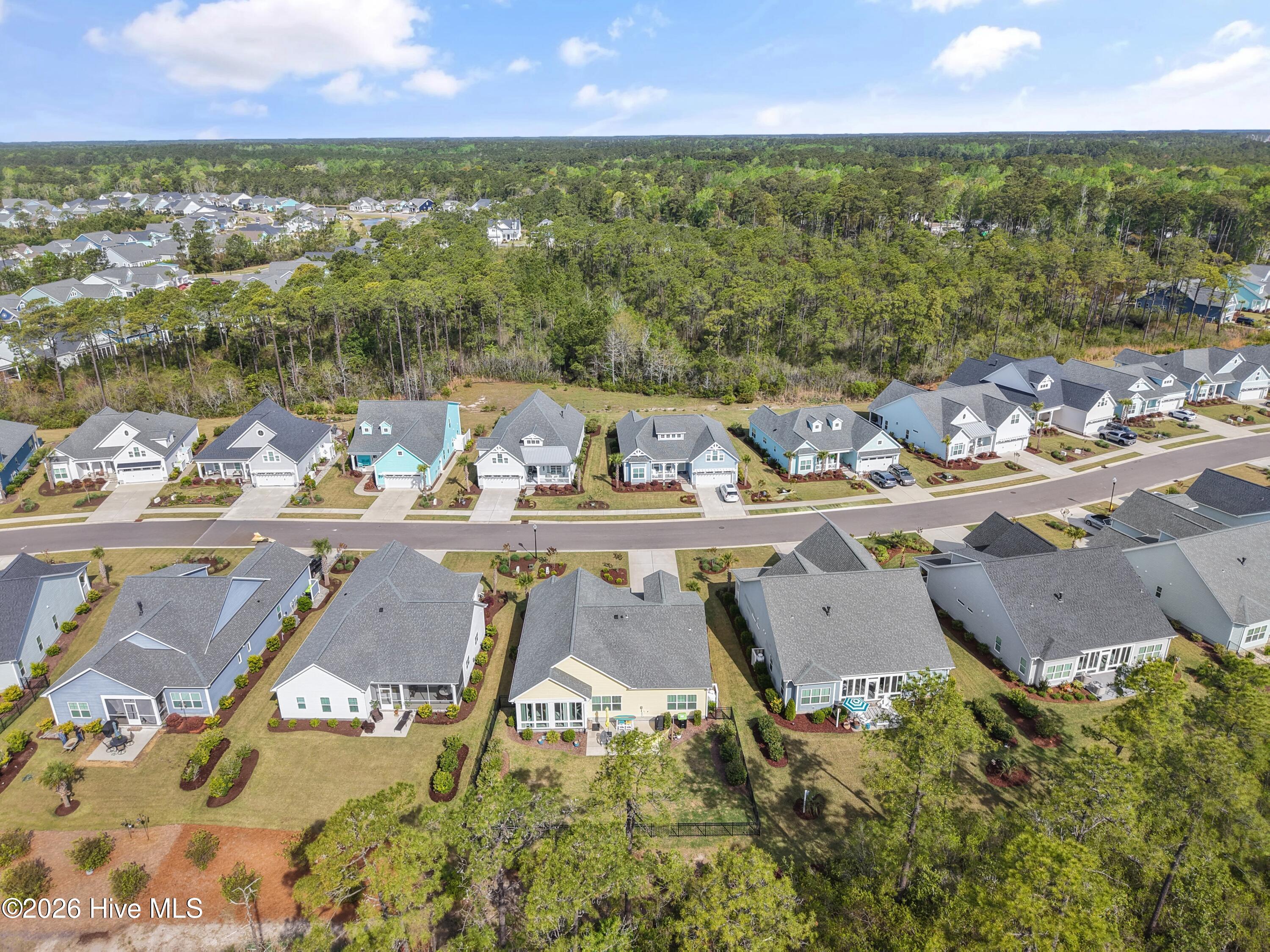 100566064 | Photo 57