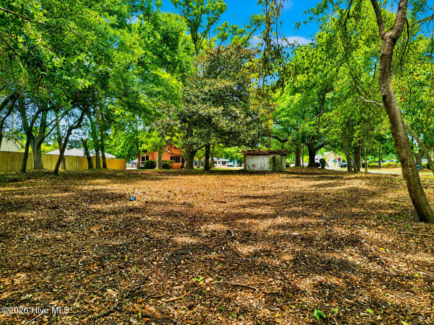 100582493 | Photo 5
