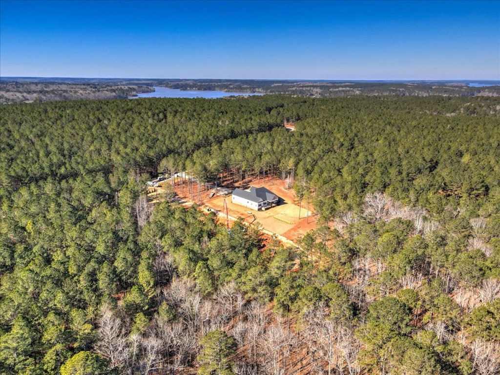 1076 Providence Ferry Road, Lincolnton, GA 30817 Listing Photo  8