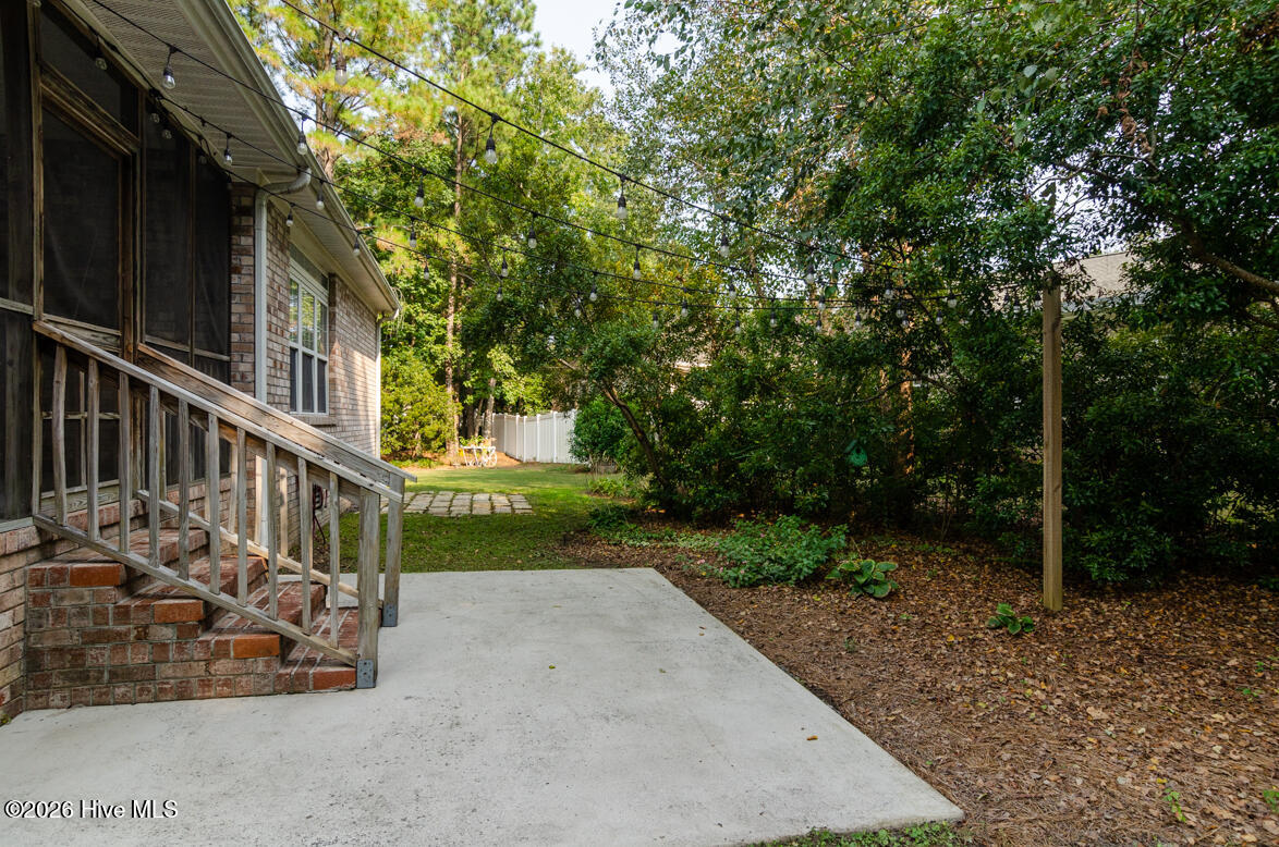 100553134 | Photo 32