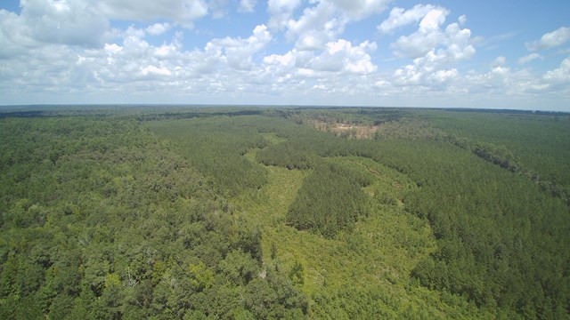 00 Augusta Highway, Dearing, GA 30808 Listing Photo  1