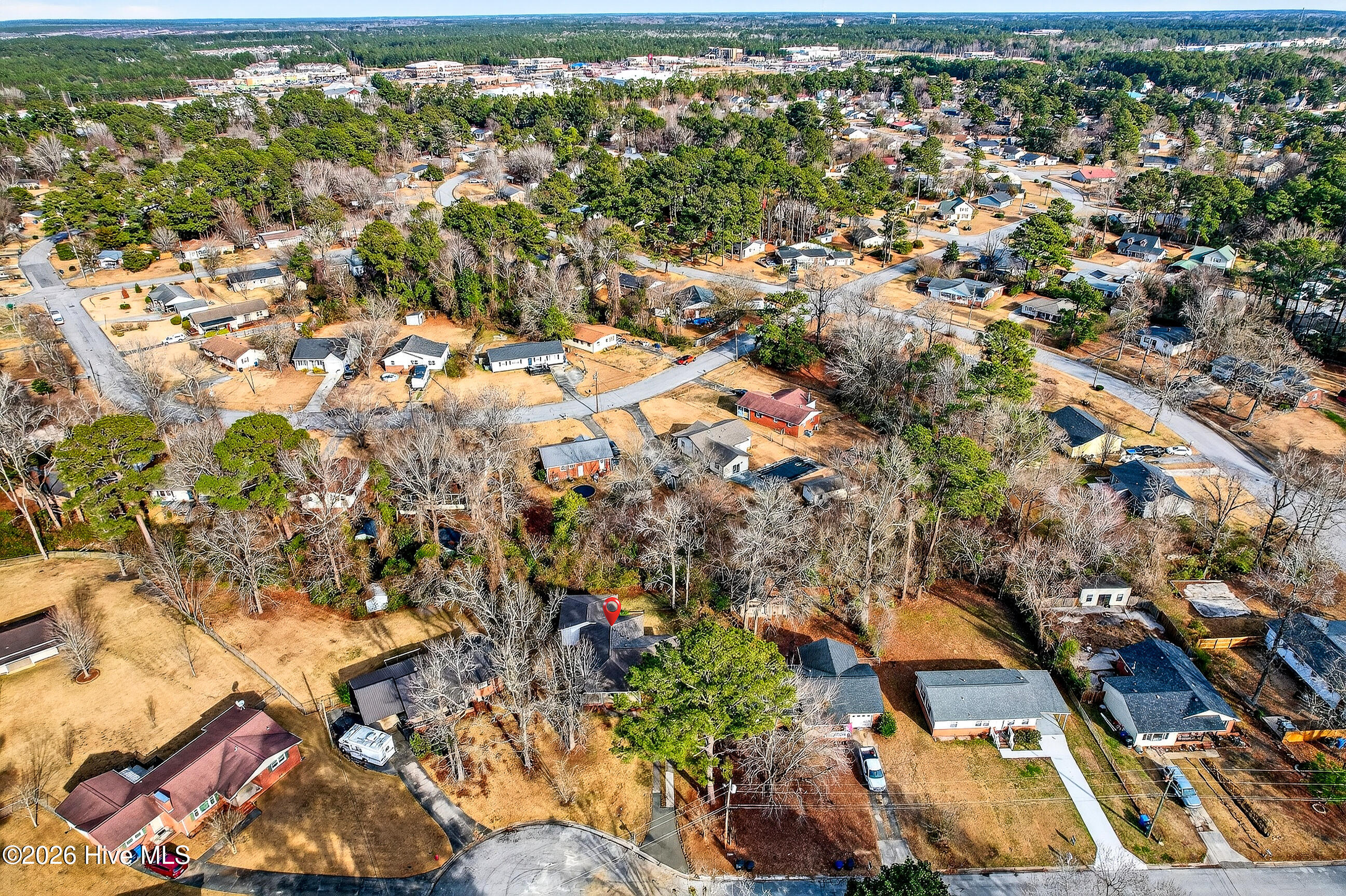 100550516 | Photo 31