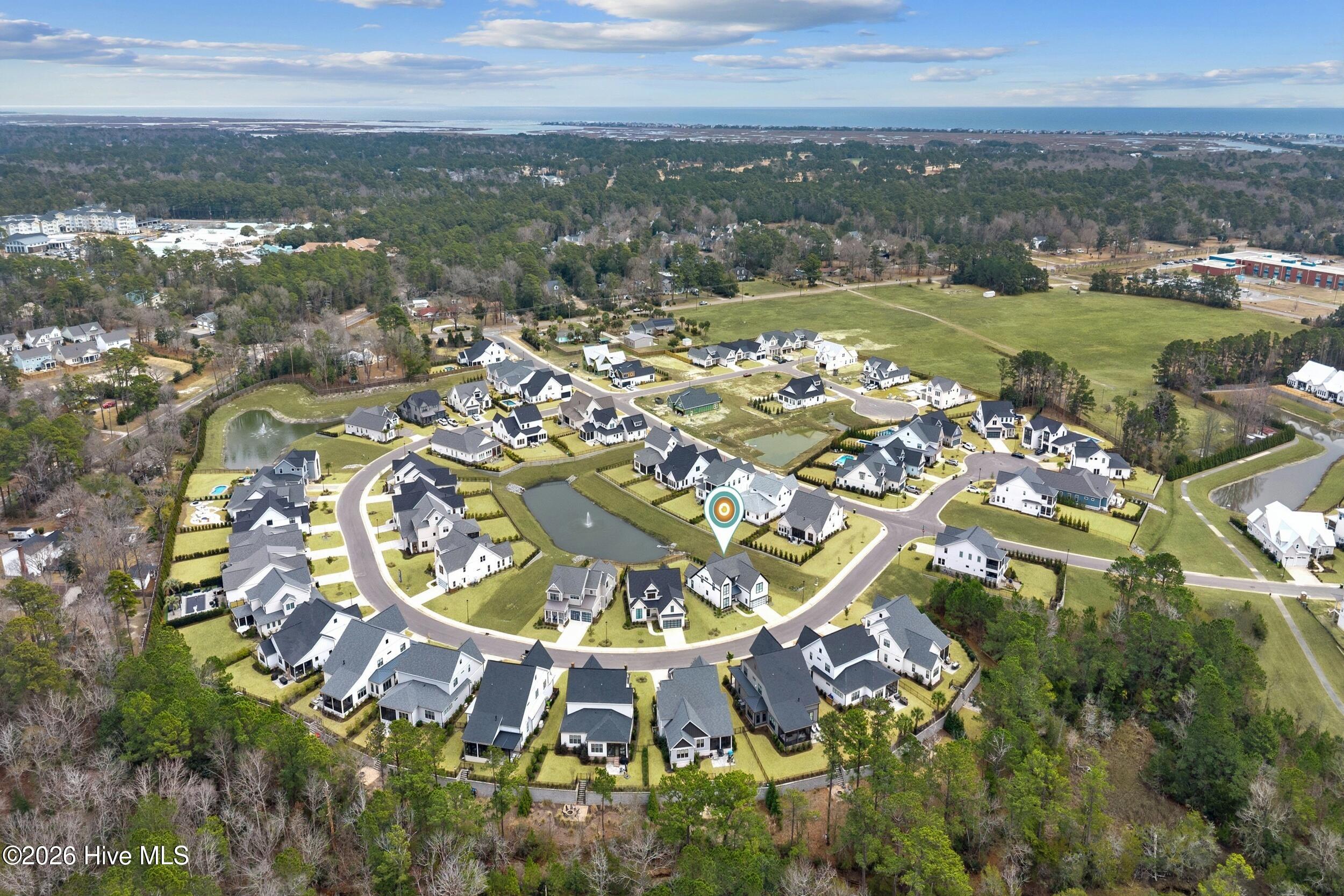 100551729 | Photo 56