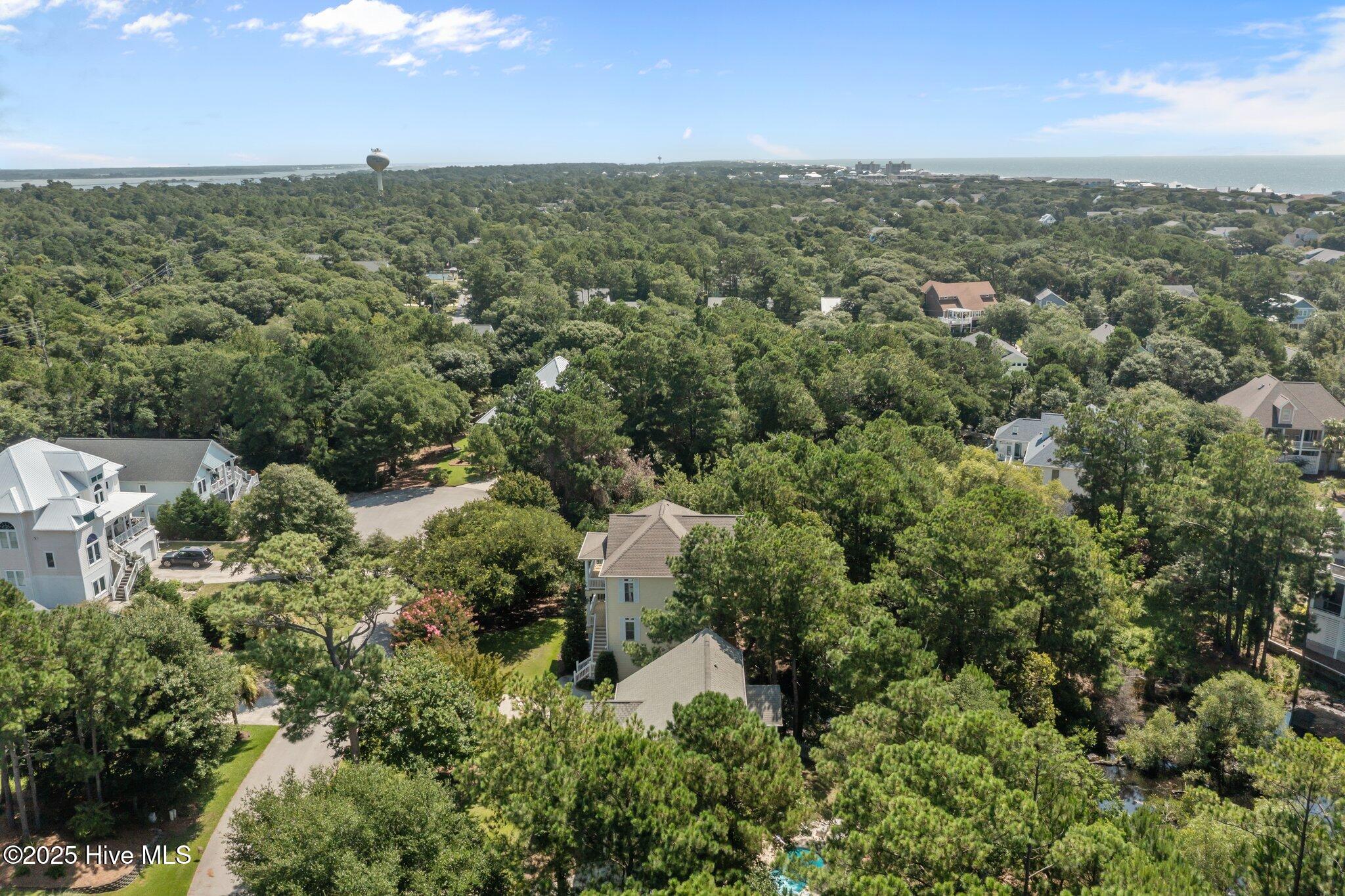 100518679 | Photo 49