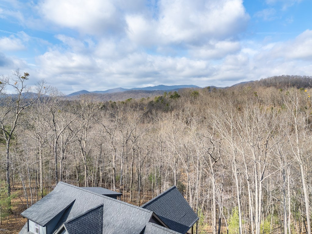 318 Tracks Hollow, Murphy, NC 28906 Listing Photo  47