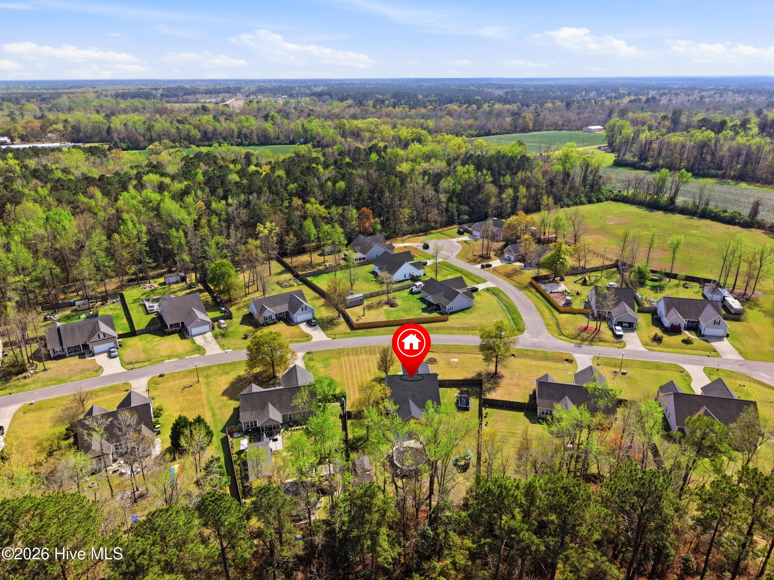 100562435 | Photo 45