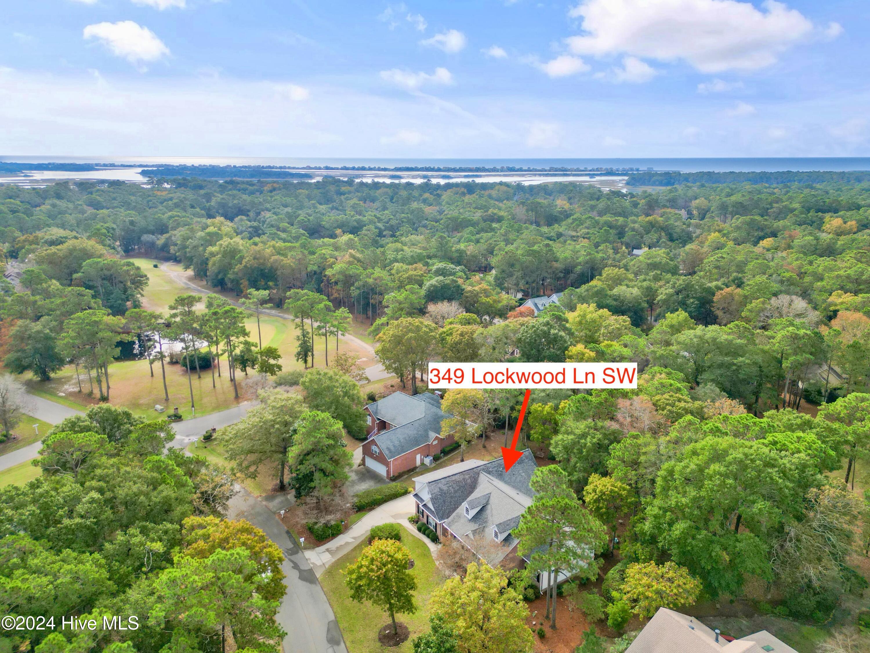 100554378 | Photo 55