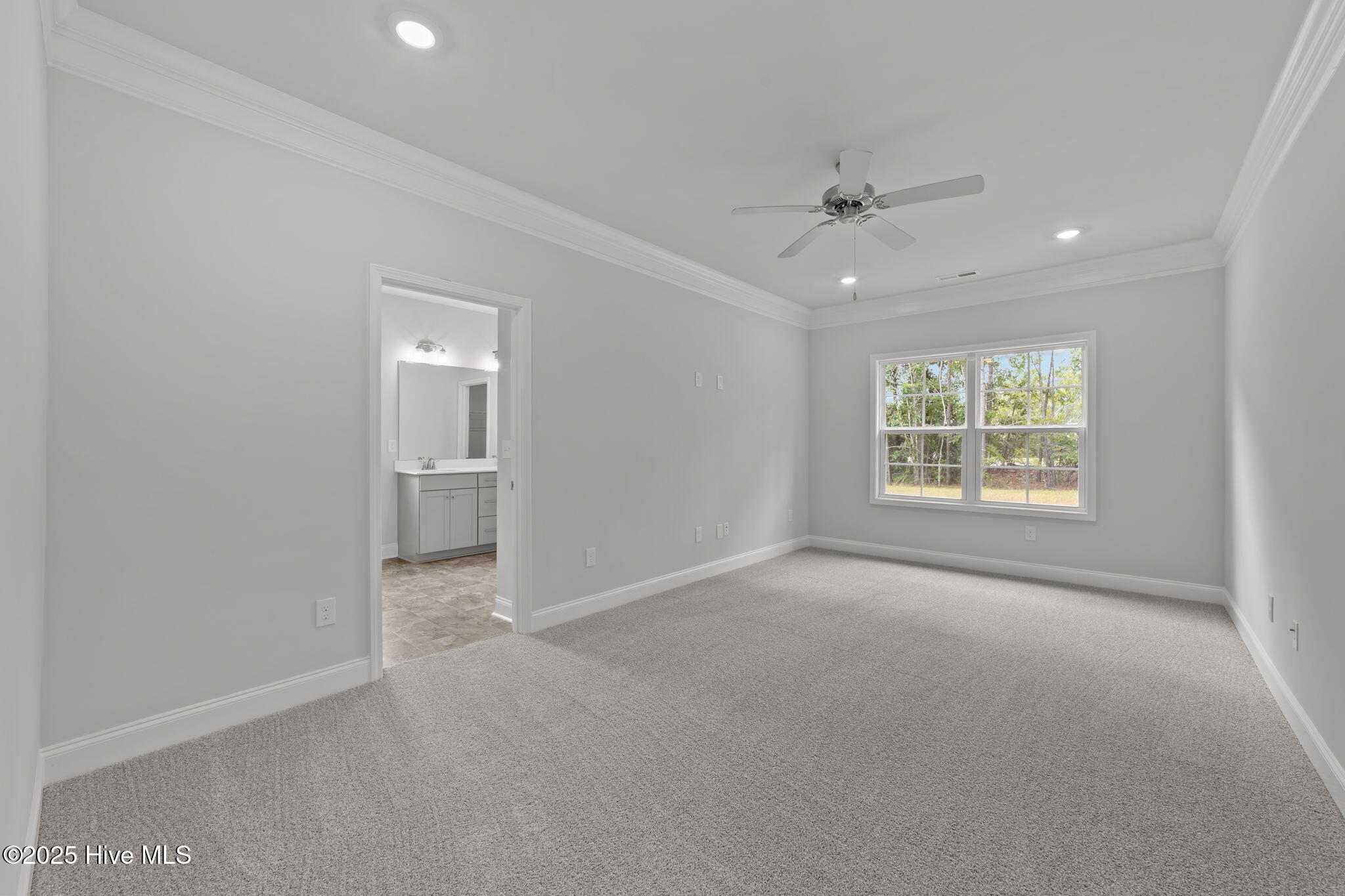 100523821 | Photo 20