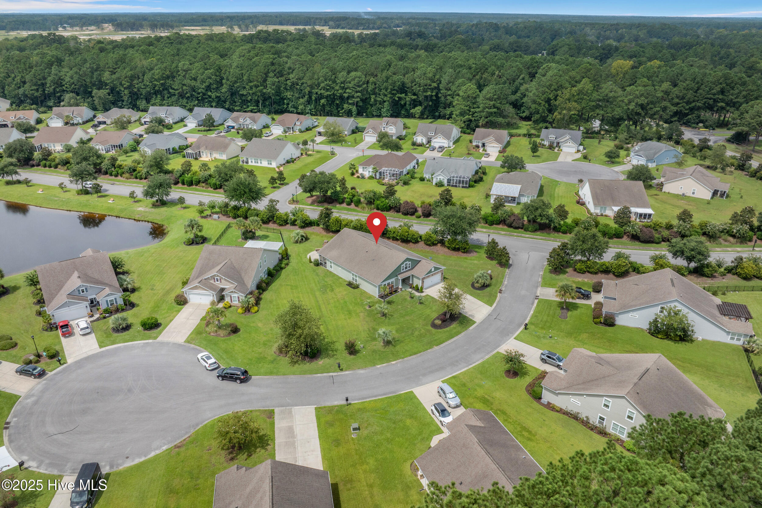 100527914 | Photo 40