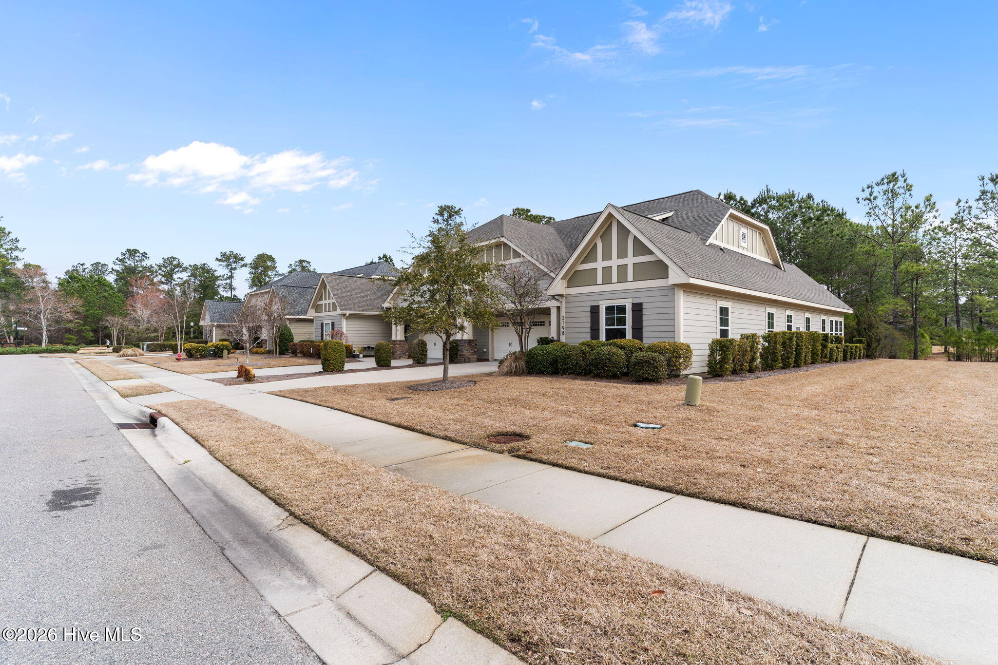 100558174 | Photo 45