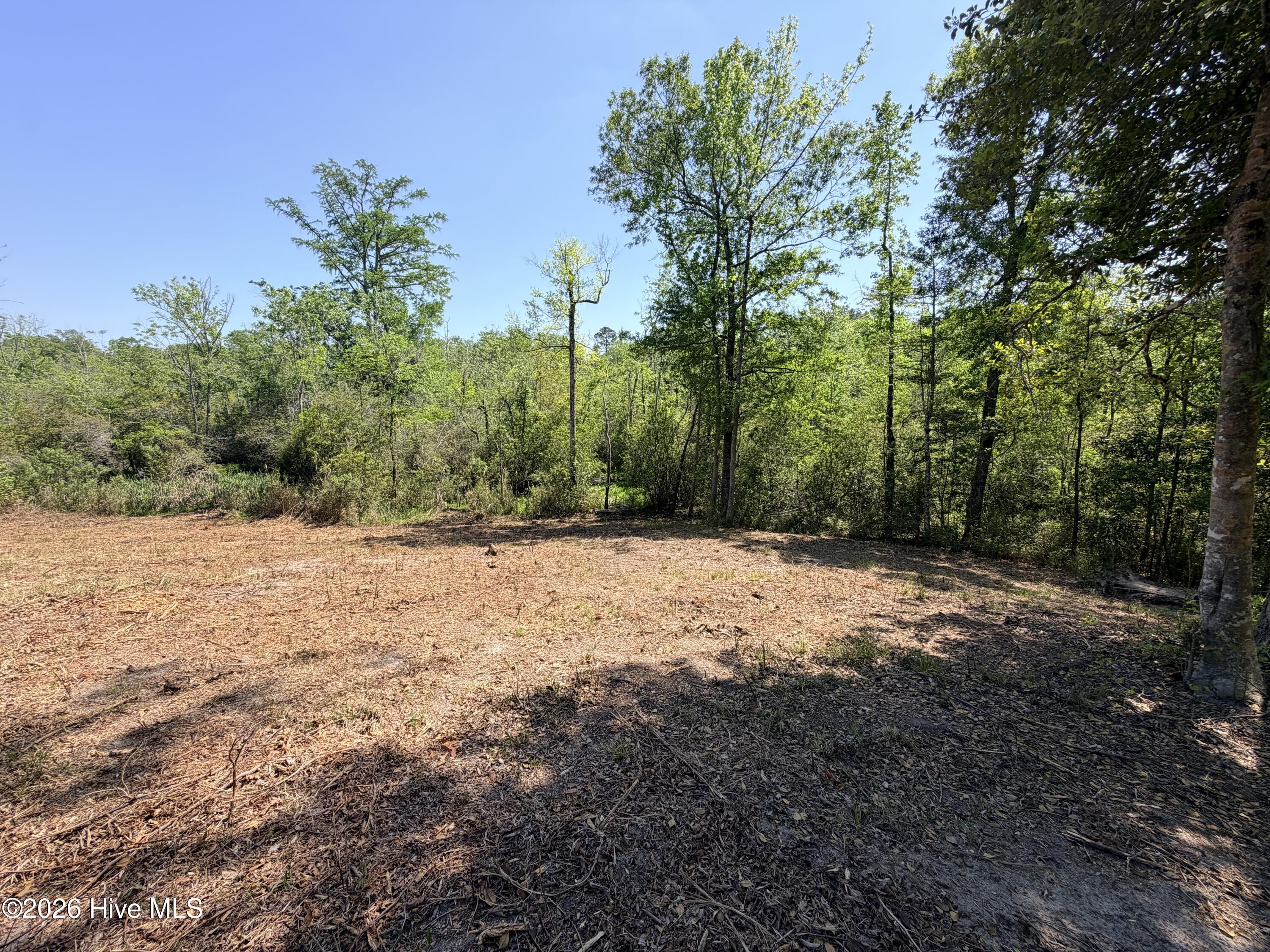 100568145 | Photo 15