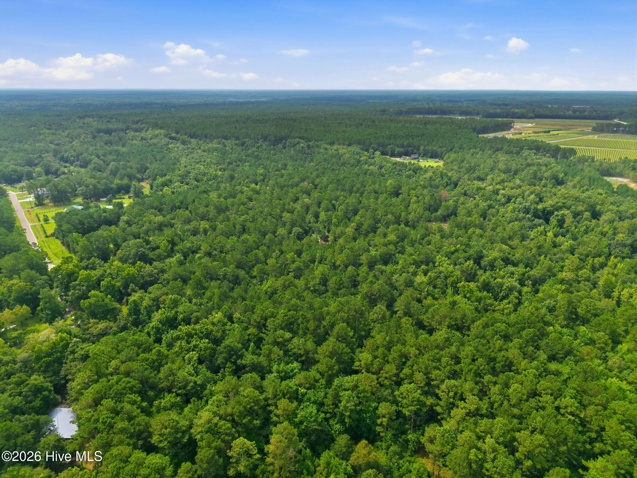 Exterior photo of 0 Copperhead Lane, Burgaw, NC 28425. MLS: 100592232