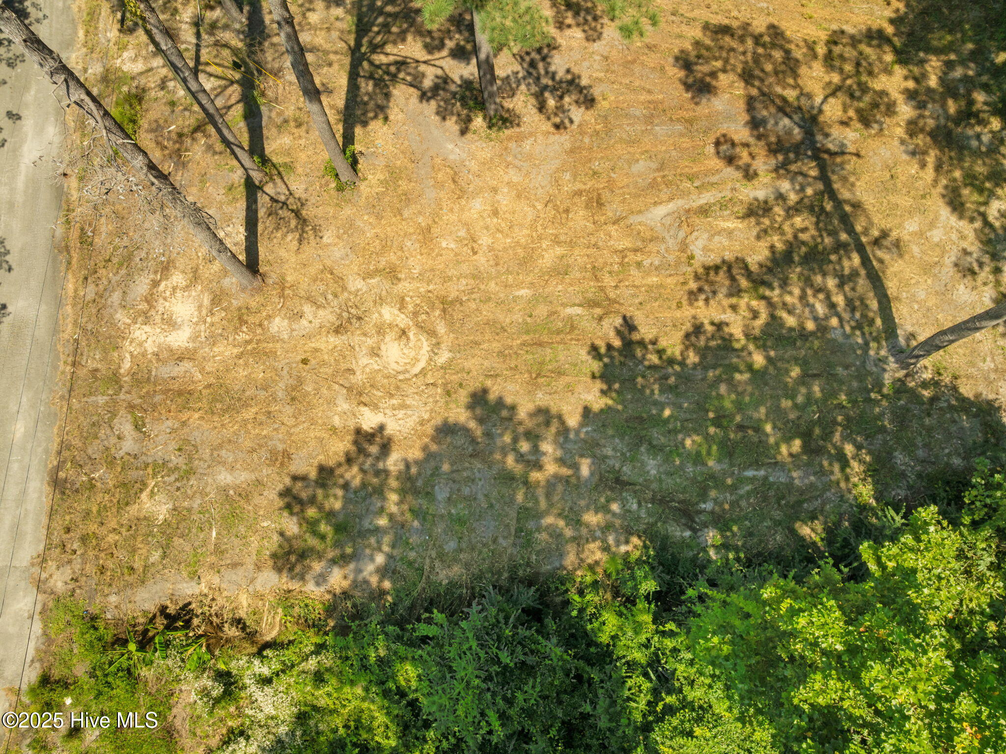 100529346 | Photo 15