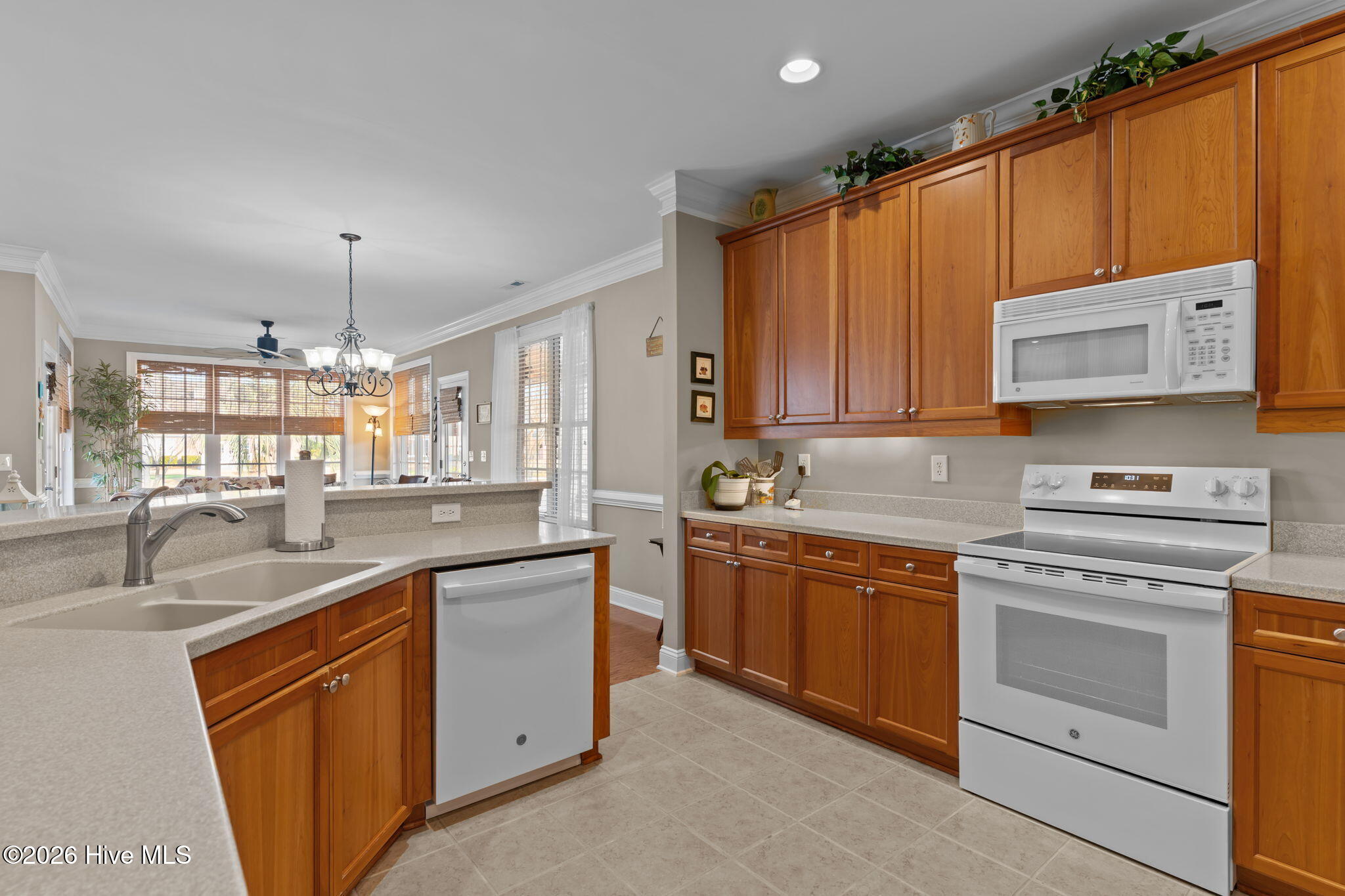 100548977 | Photo 14