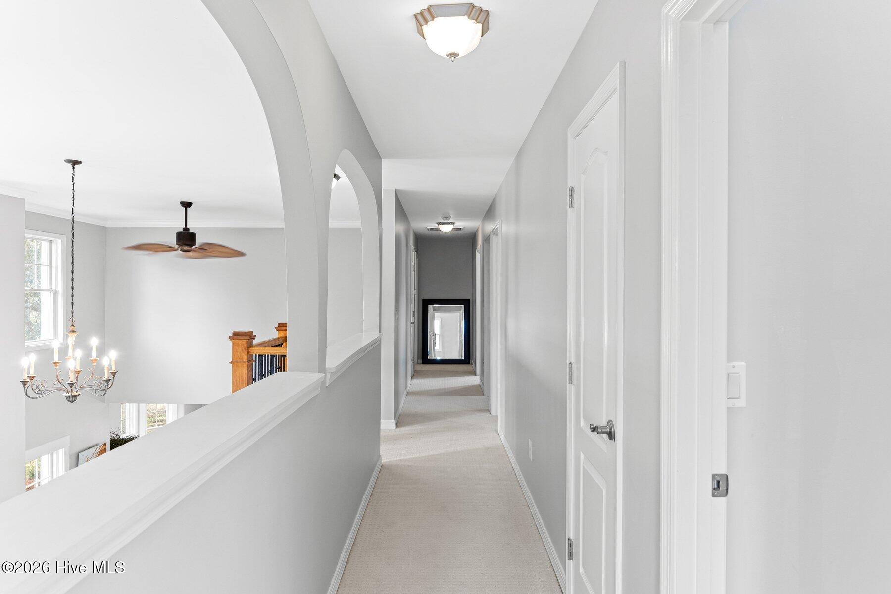 100551299 | Photo 26