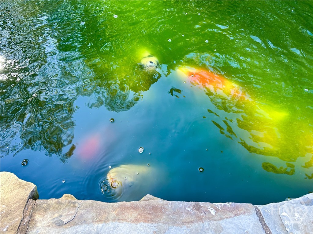 347 Clarksboro Drive, Athens, GA, 30607