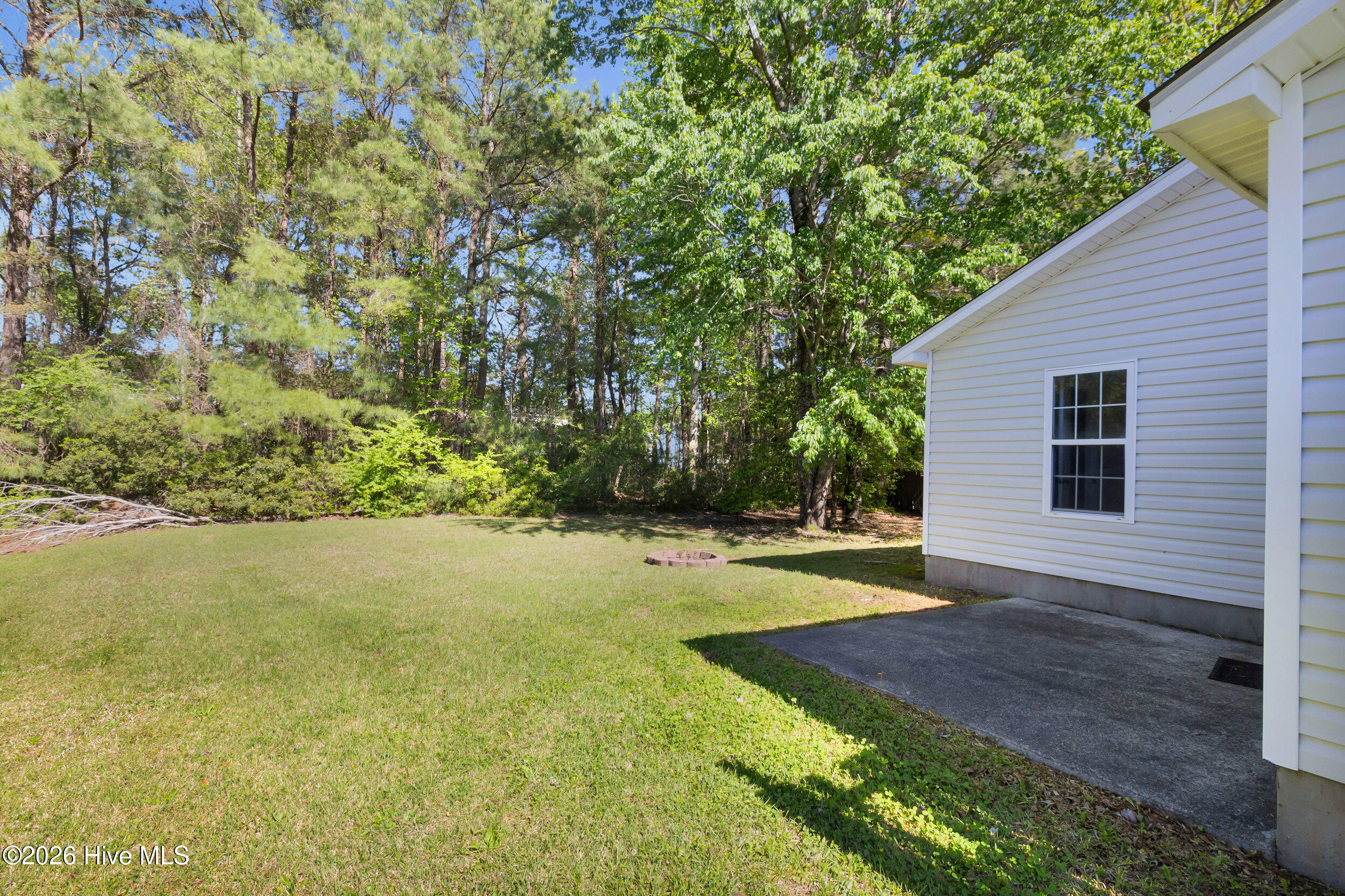 100566556 | Photo 21