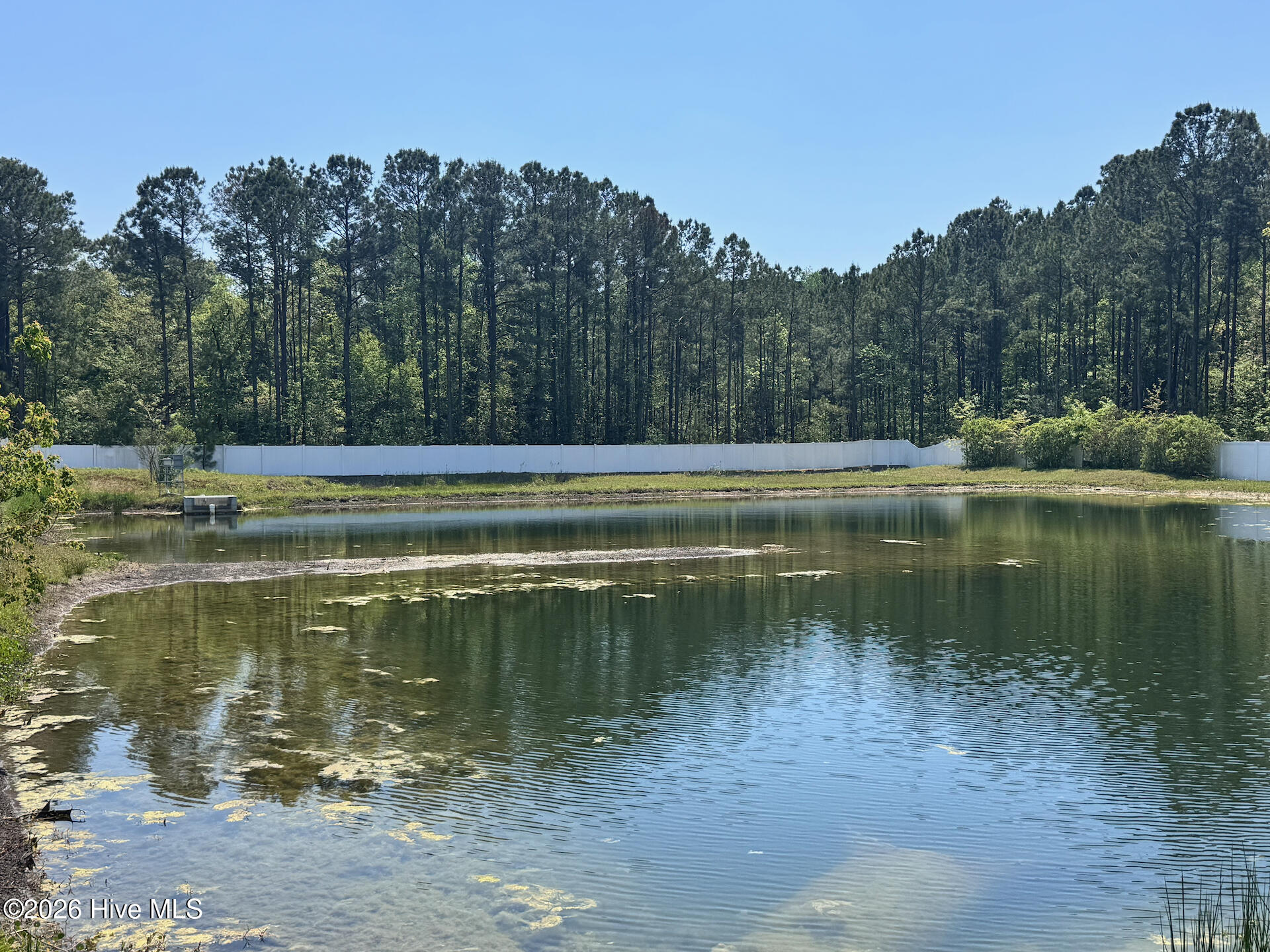 100567509 | Photo 37