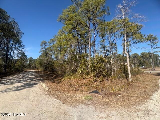 Homes for sale in Boiling Spring Lakes, NC | 516 Barclay Rd, Boiling Spring Lakes, NC 28461 | MLS# 100554716