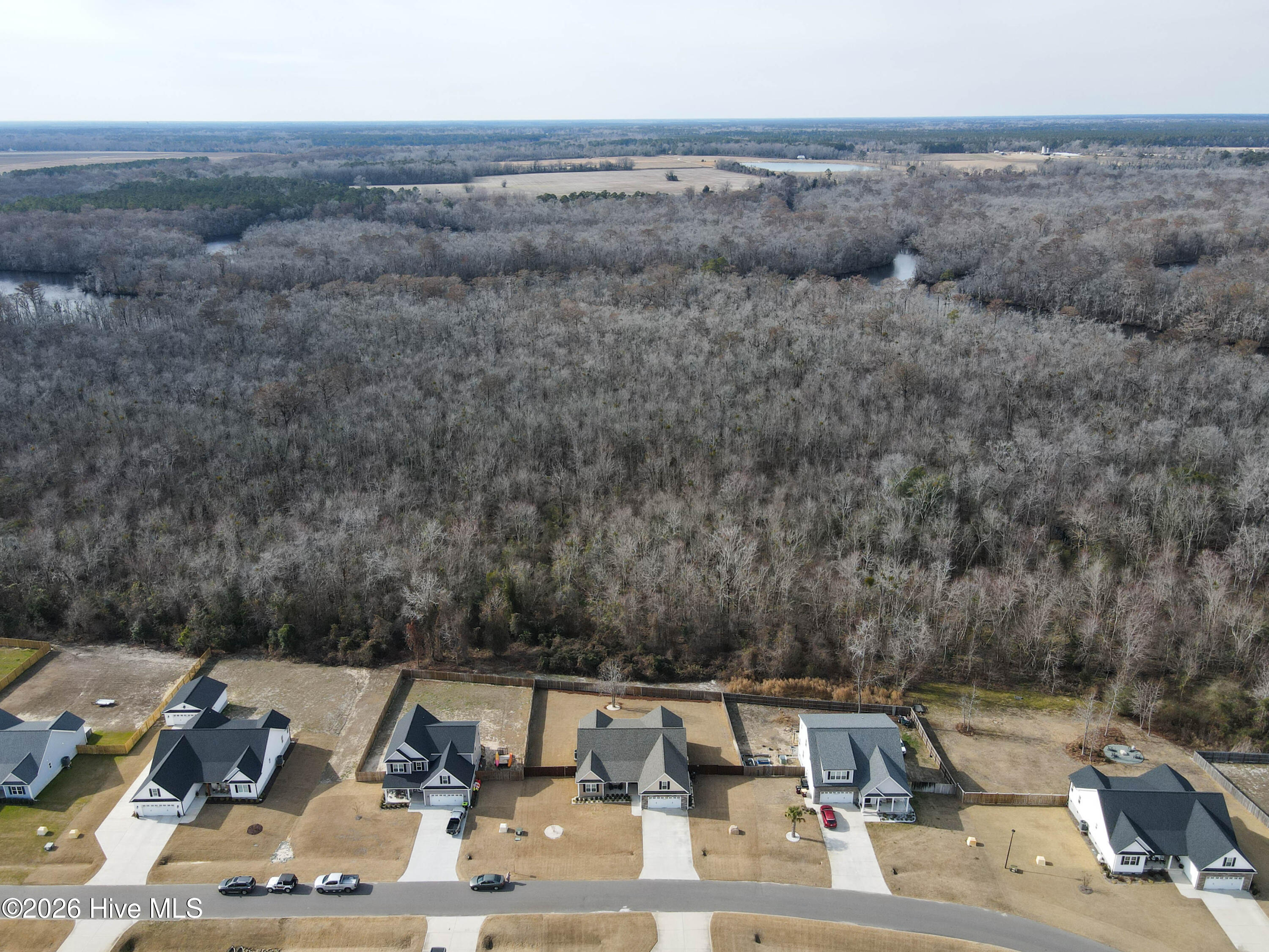 100560693 | Photo 79