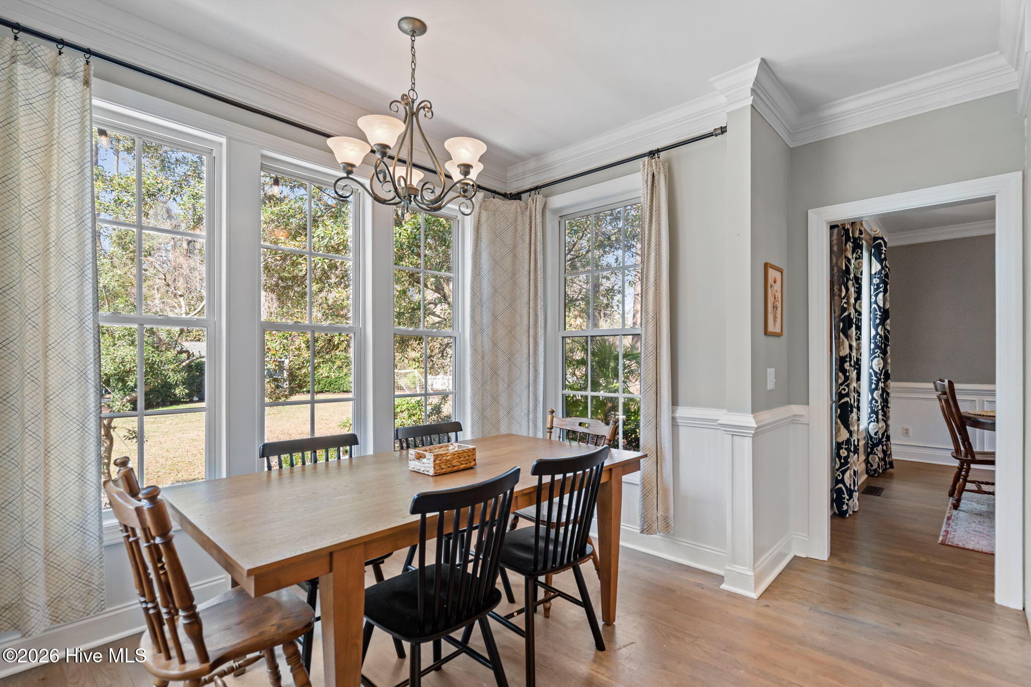 100558243 | Photo 17