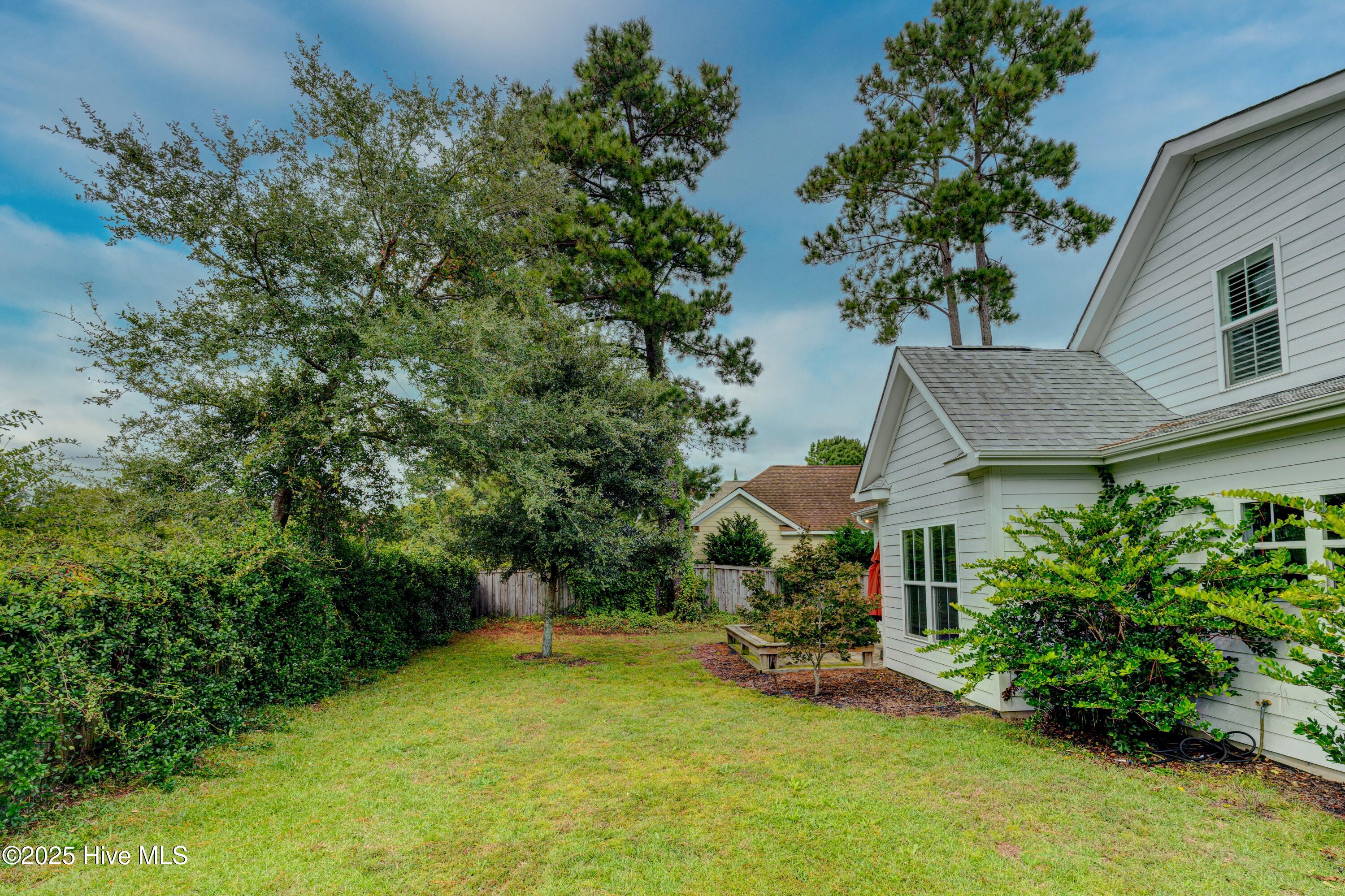 100536427 | Photo 49