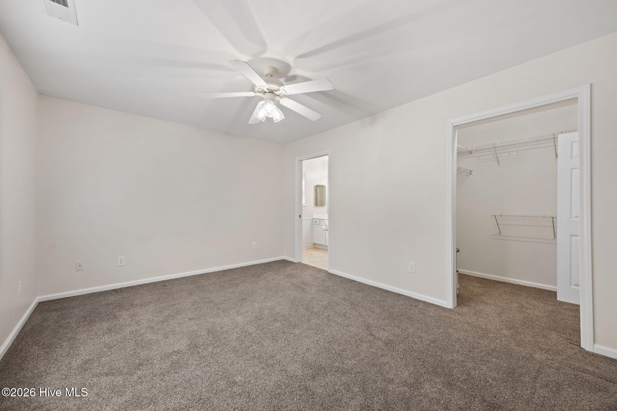 100560523 | Photo 20