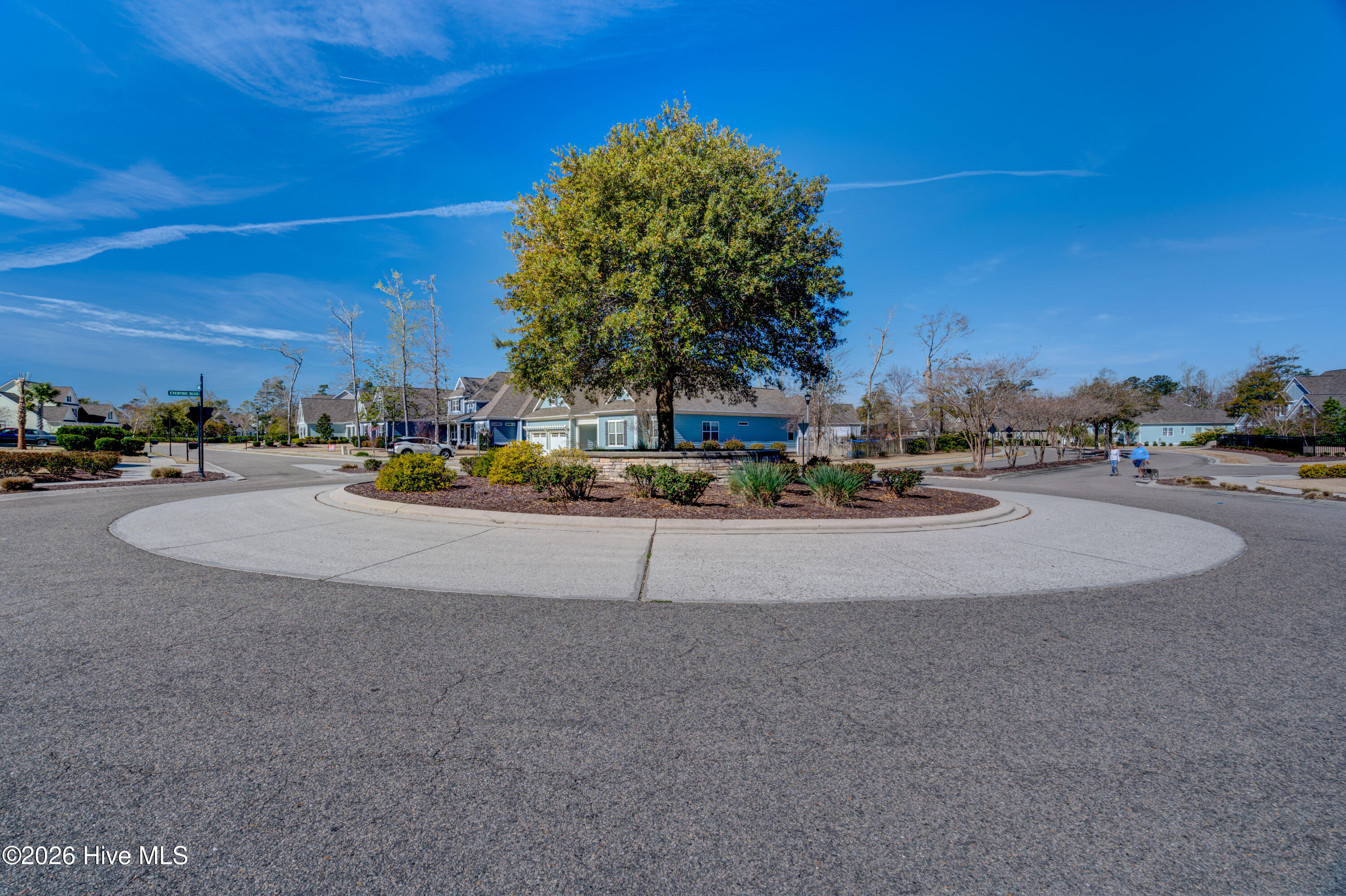 100558157 | Photo 72