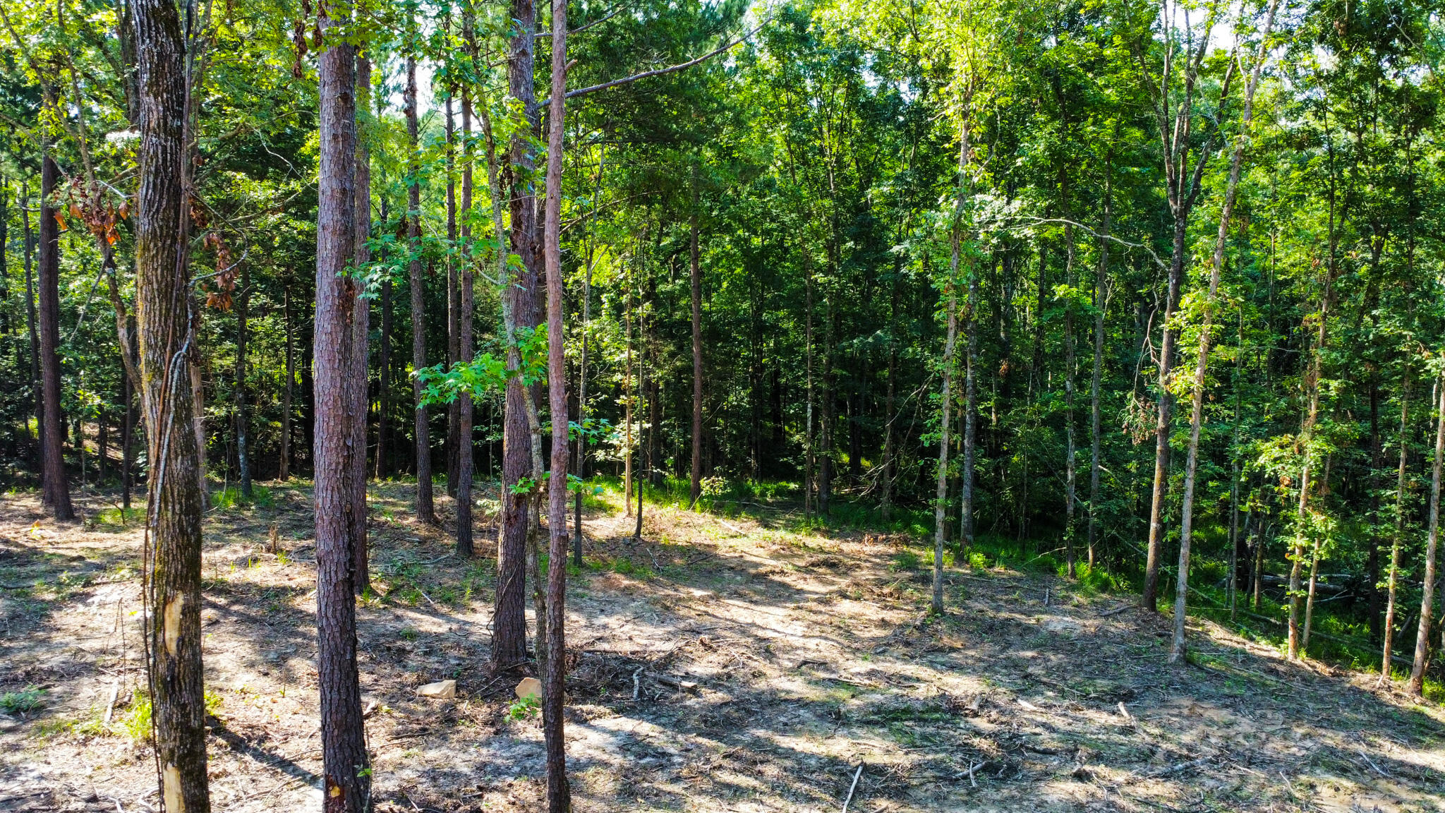 0 Backway Road, Lincolnton, GA, 30817