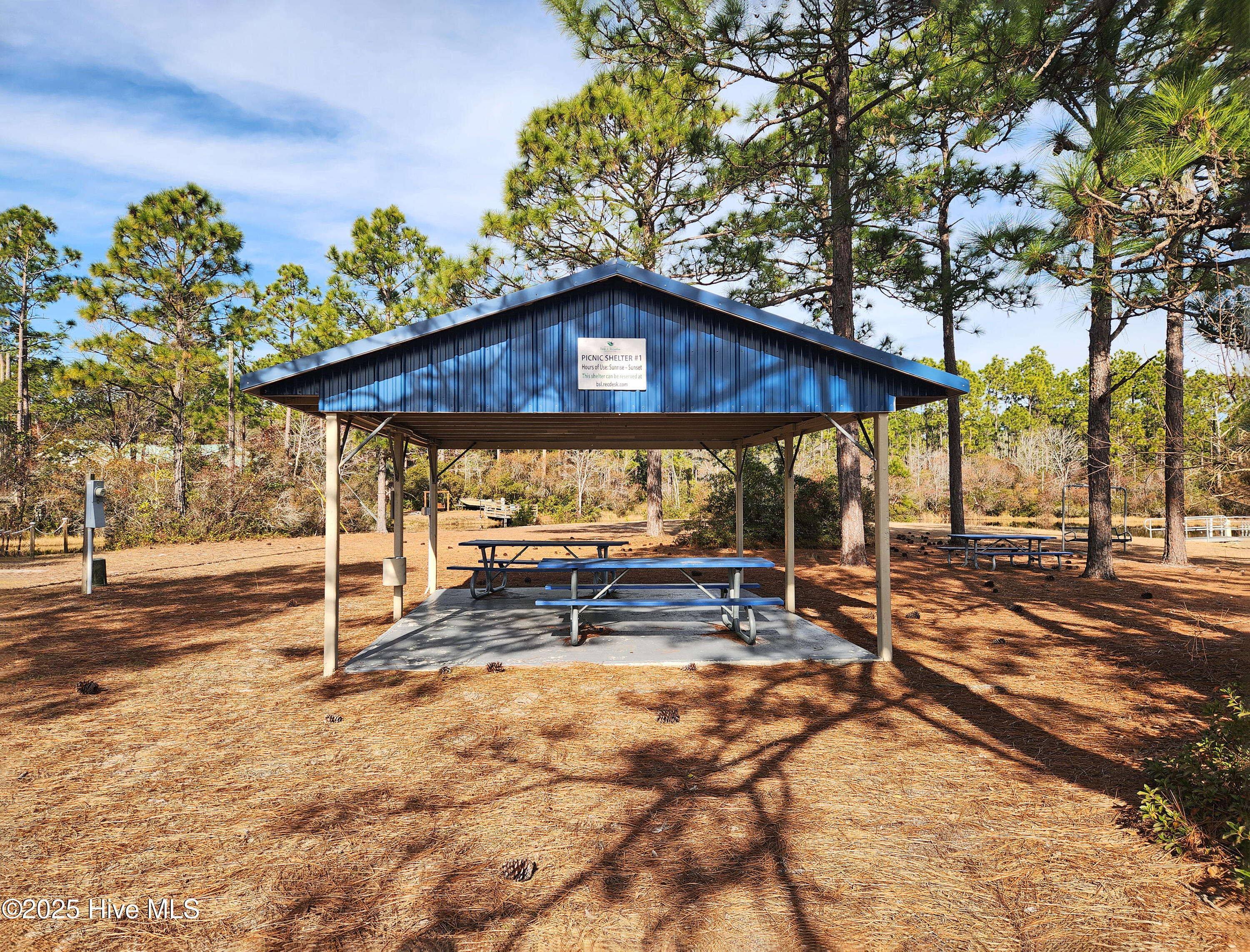 100546709 | Photo 35