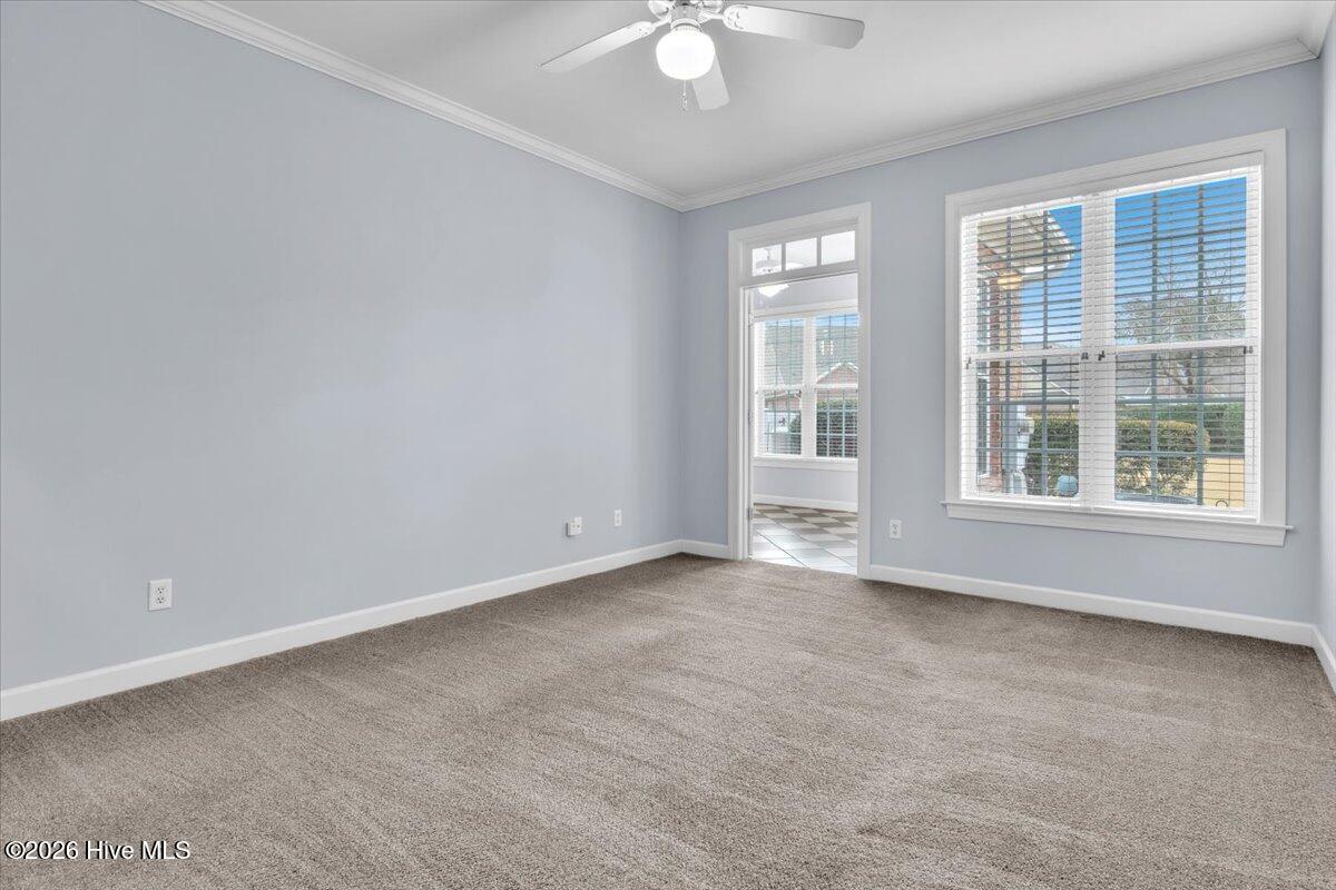 100547572 | Photo 28