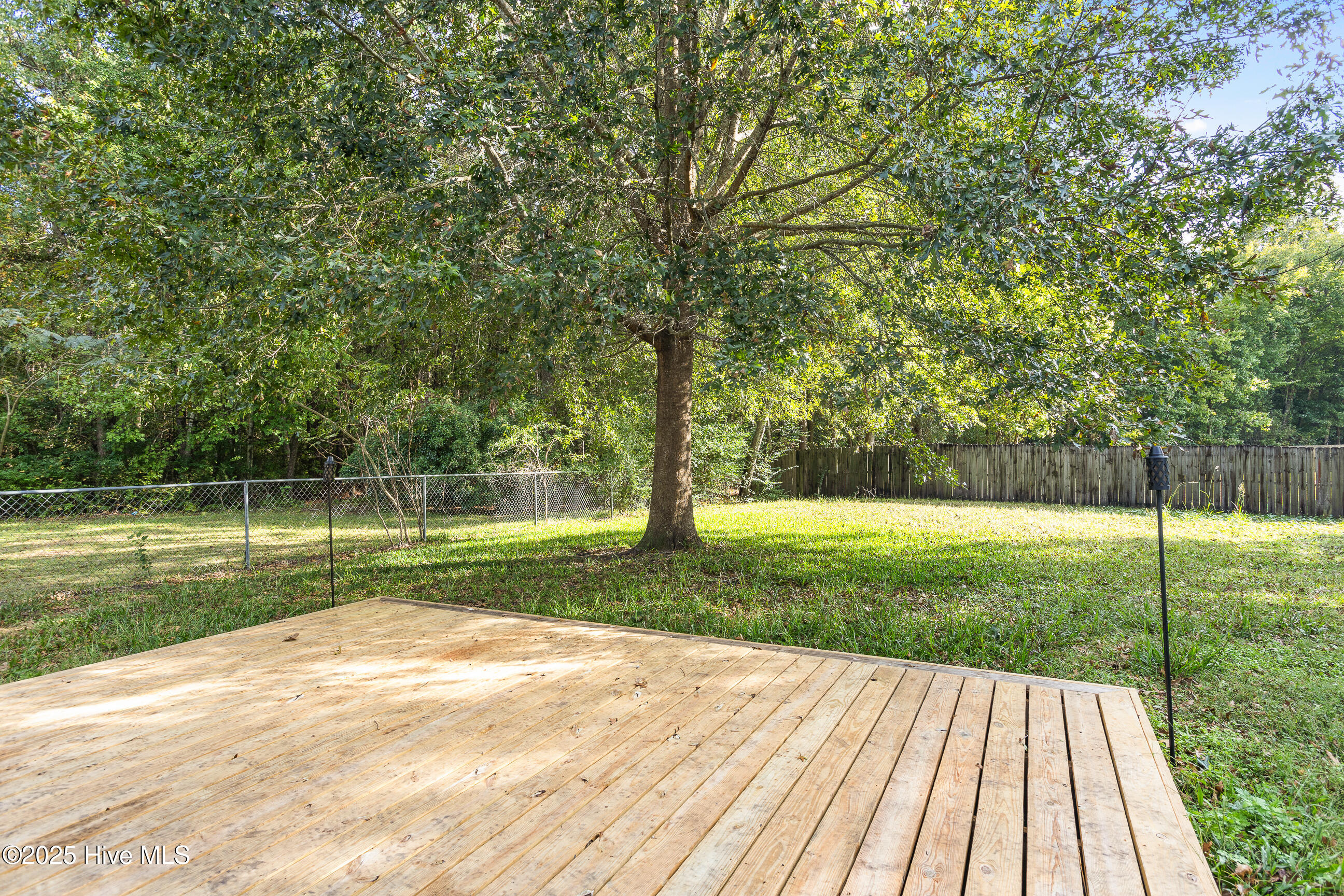 100539882 | Photo 29