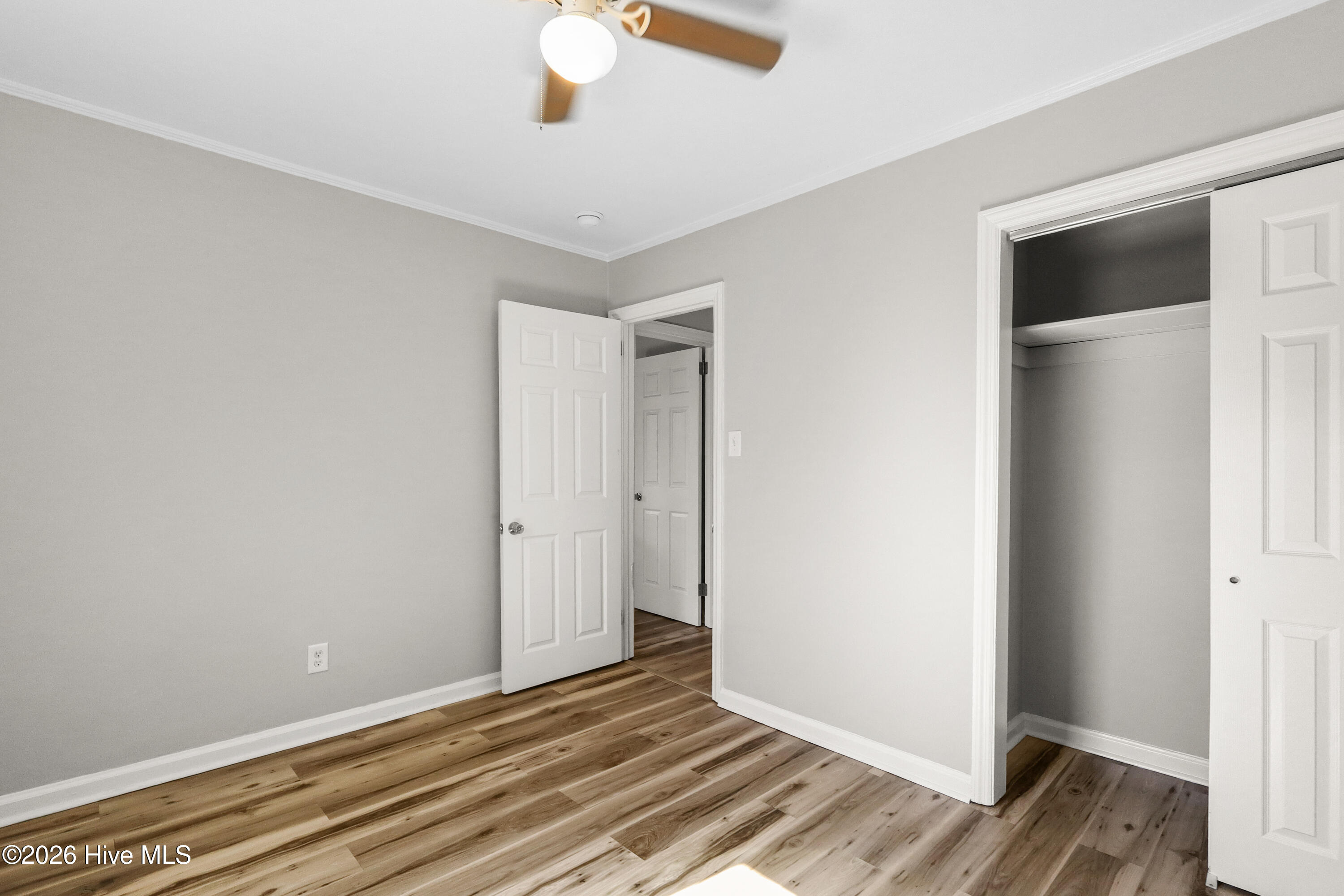 100556489 | Photo 29