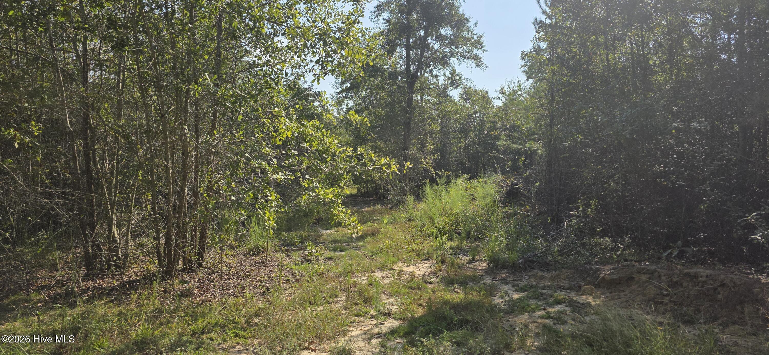 Photo 2 of Land for sale at 131 Spirit Ln, Aiken, SC 29801 | MLS# 100604810 | Listing updated on 2026-09-19