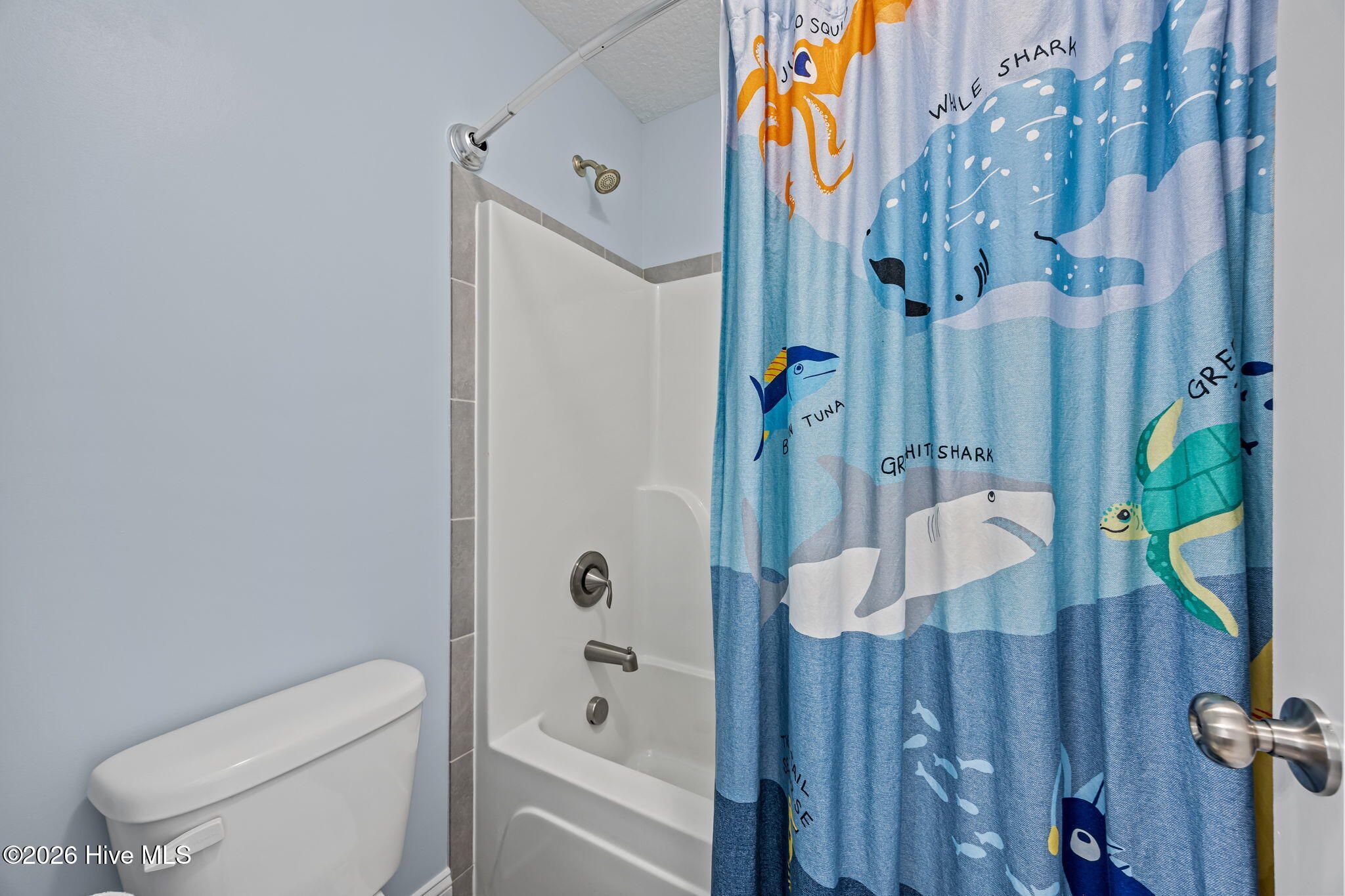 100566991 | Photo 37