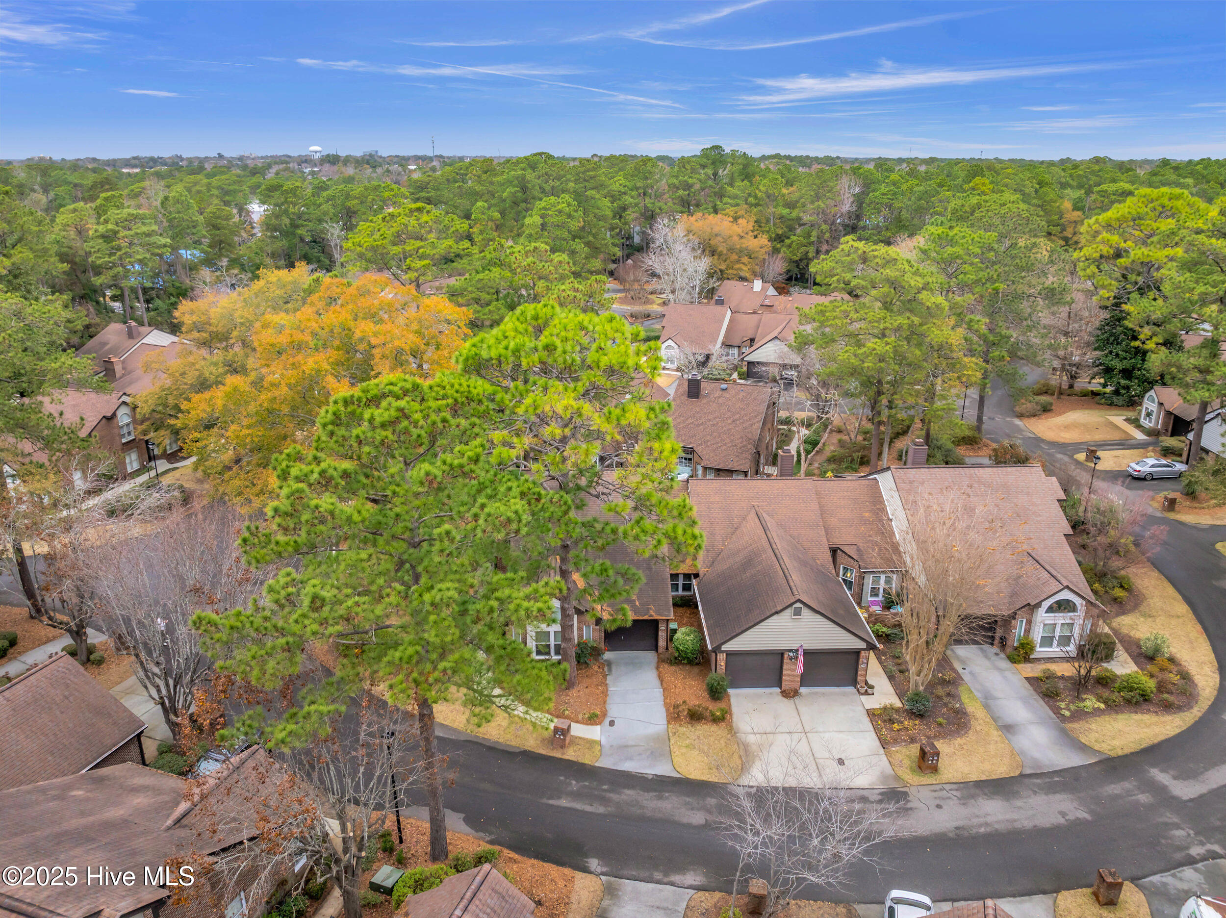 100546535 | Photo 41