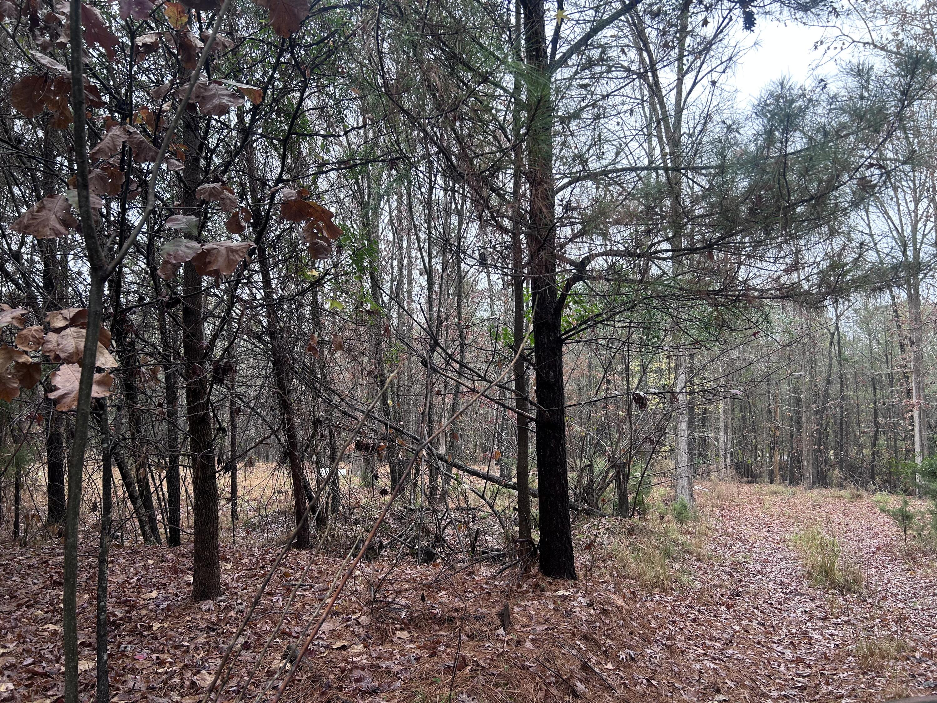 1956 Pineywoods Road, Lincolnton, GA, 30817