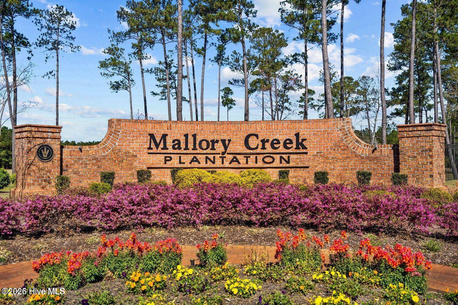 100554409 | Photo 43