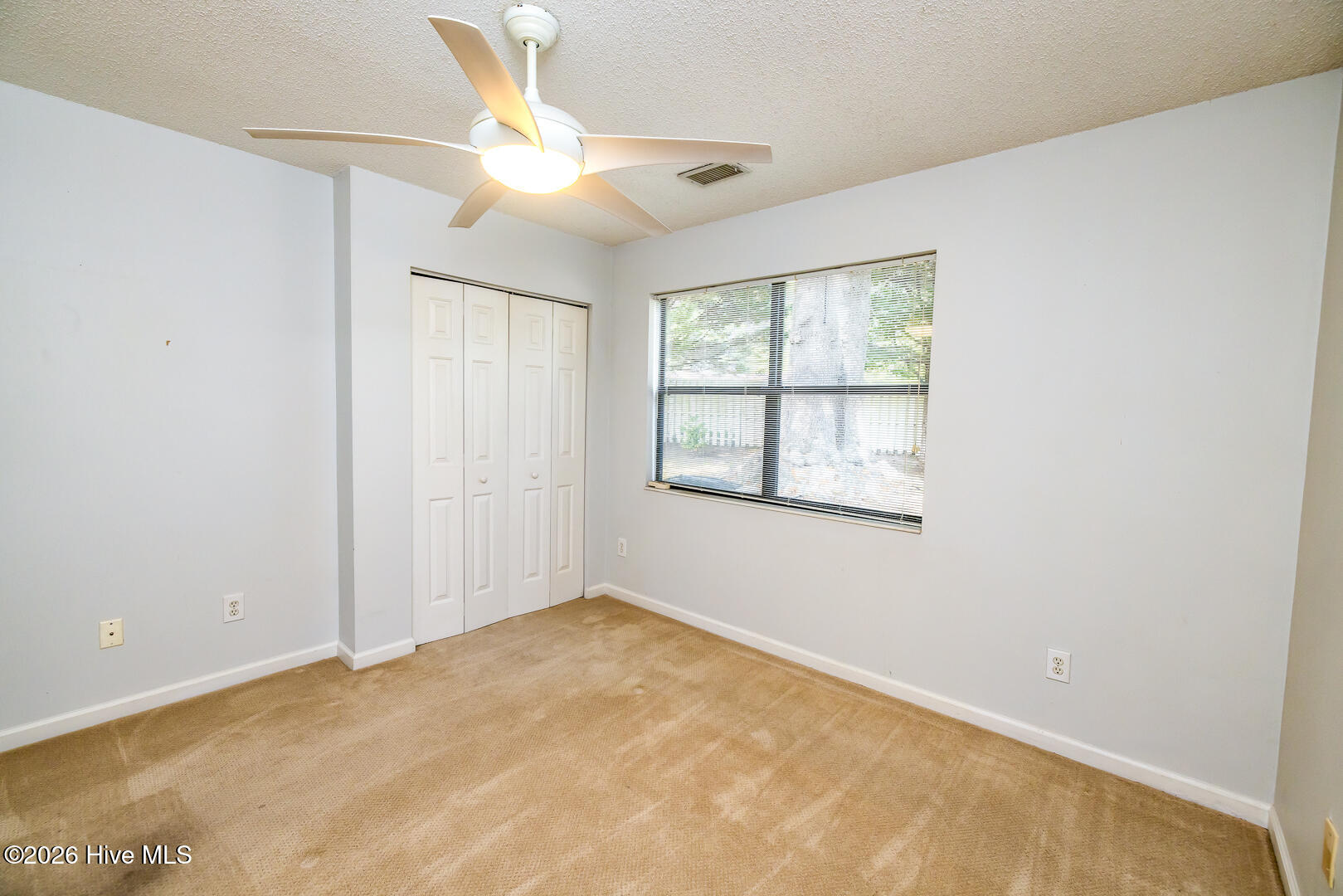 100567936 | Photo 20