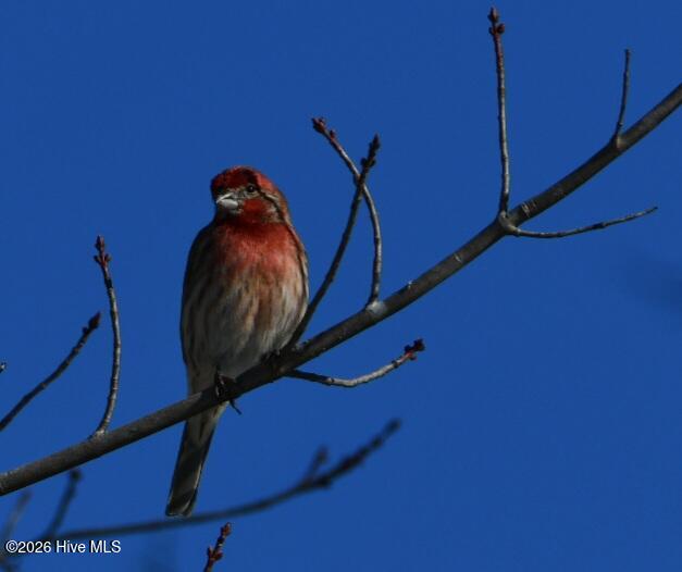 108 Farmington Road, Grimesland, NC, 27837