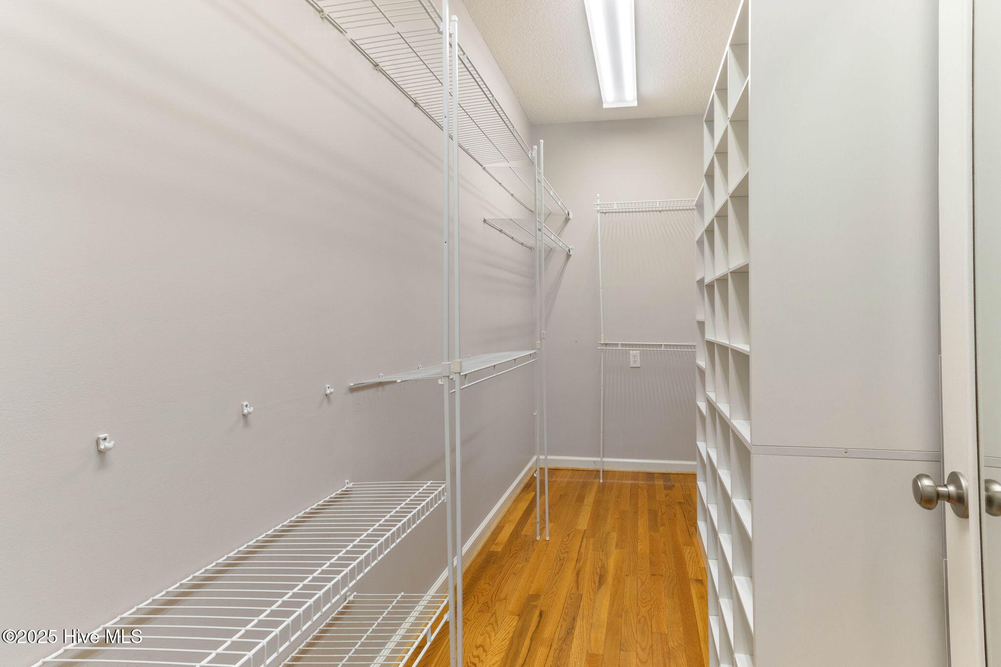 100533905 | Photo 30