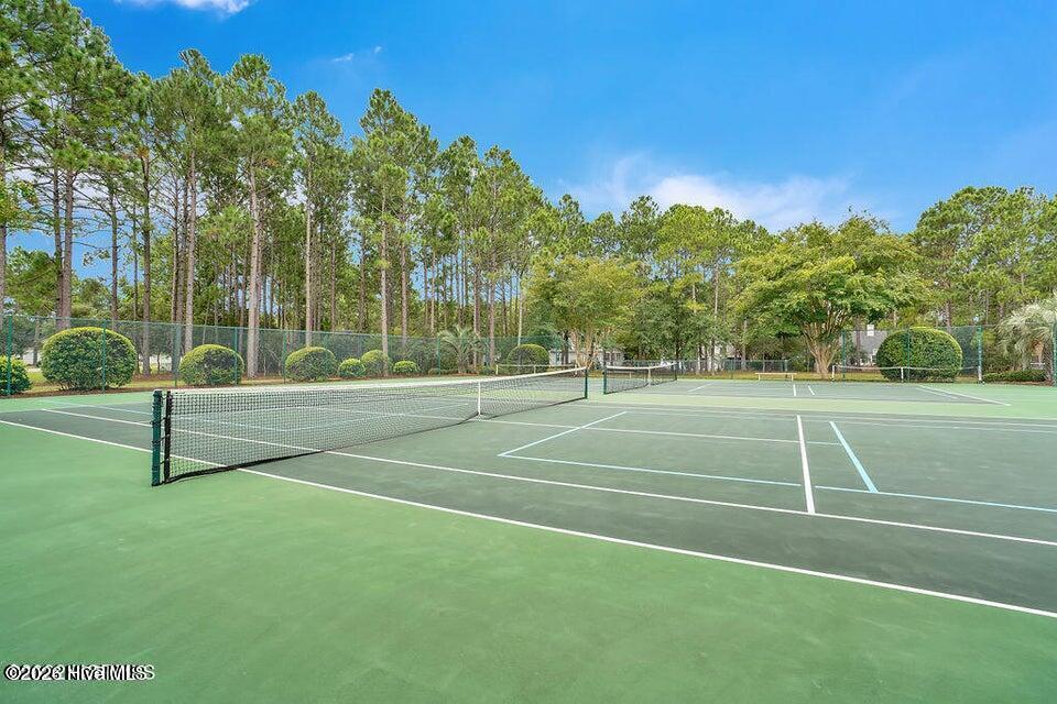 100569459 | Photo 59