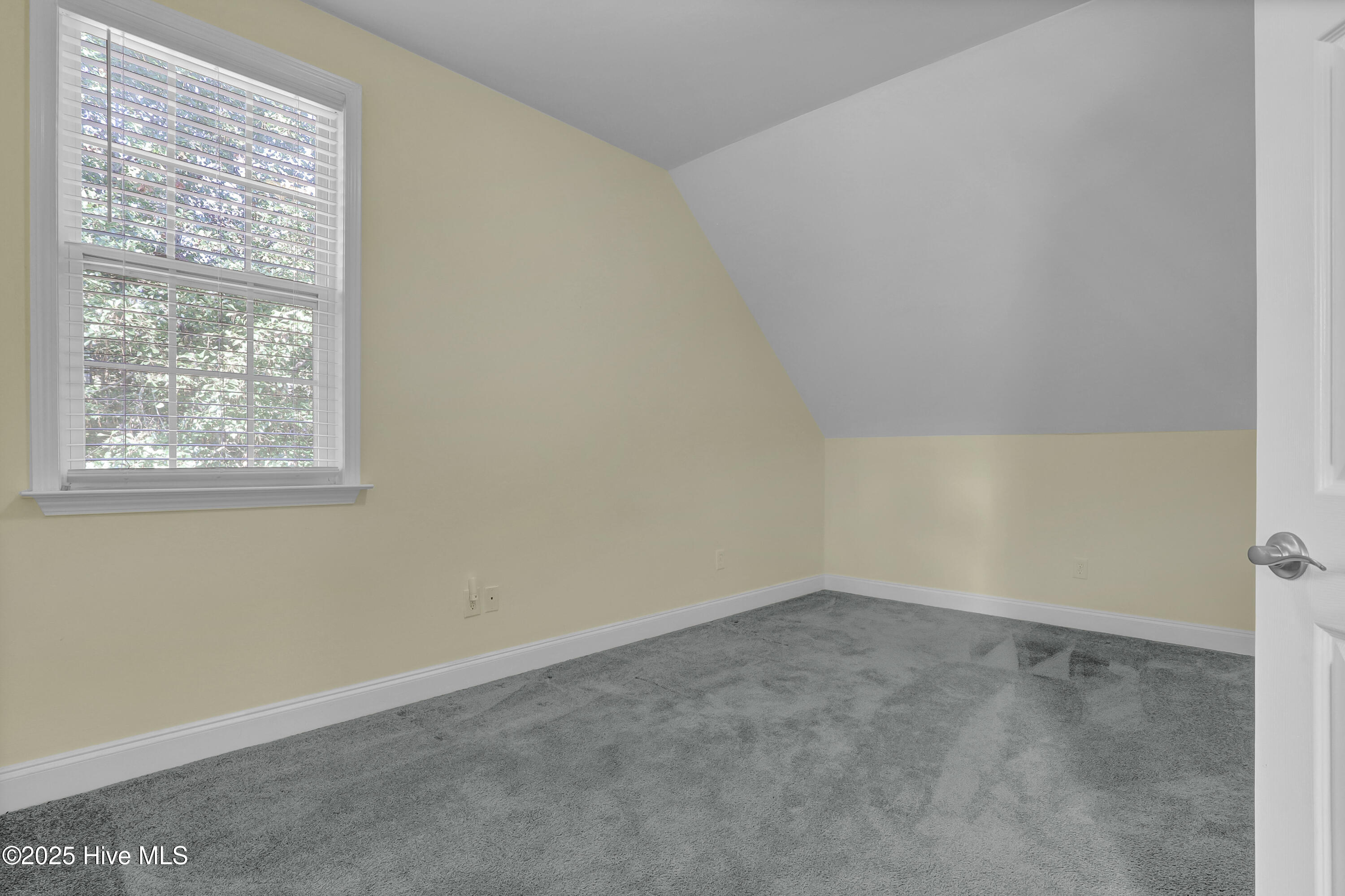 100532986 | Photo 30