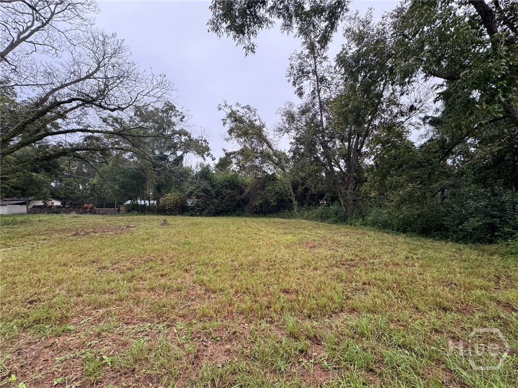 Homes for sale in Statesboro, GA | 00 W Grady St, Statesboro, GA 30458 | MLS# SA341803