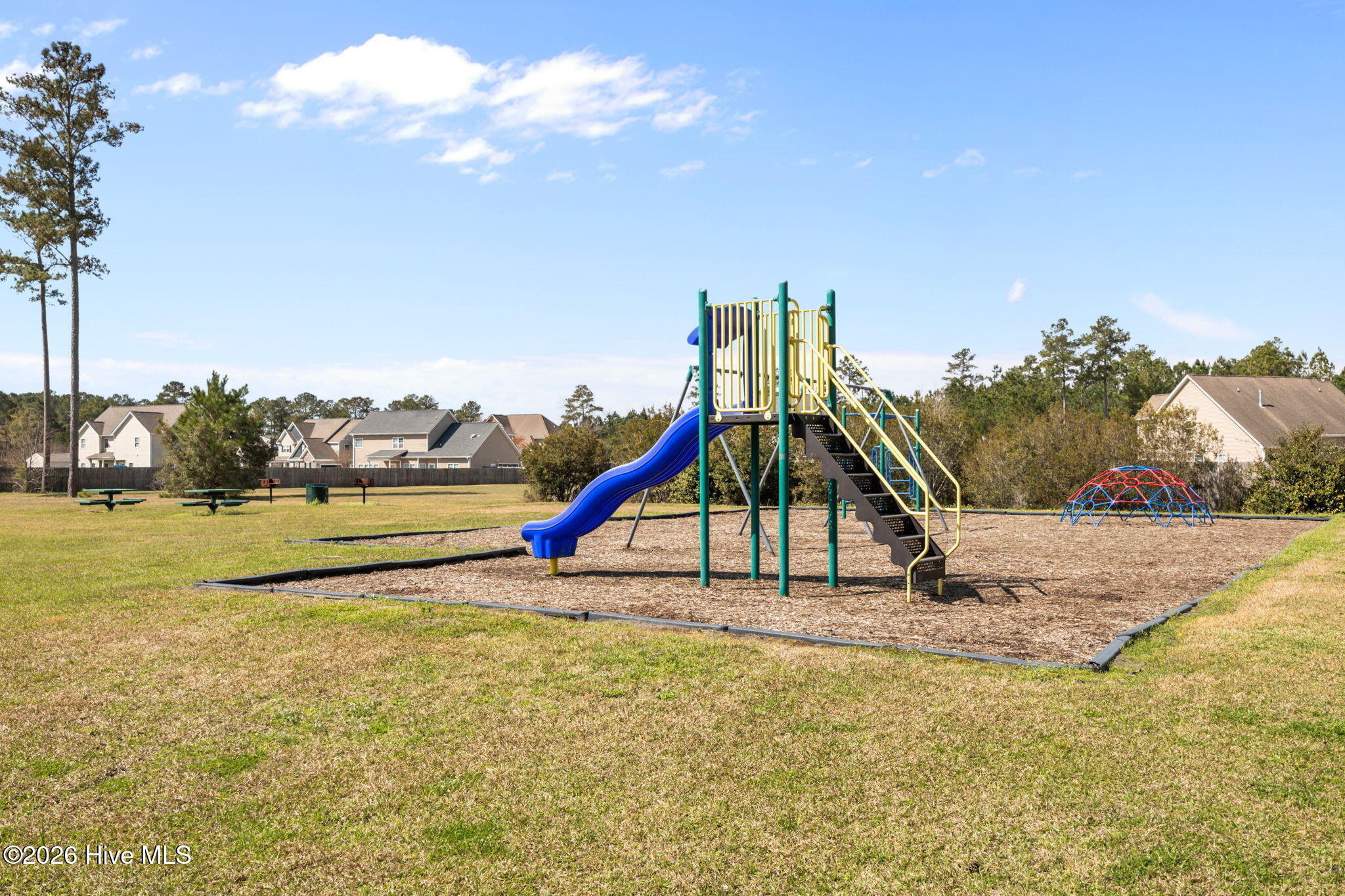 100561827 | Photo 66