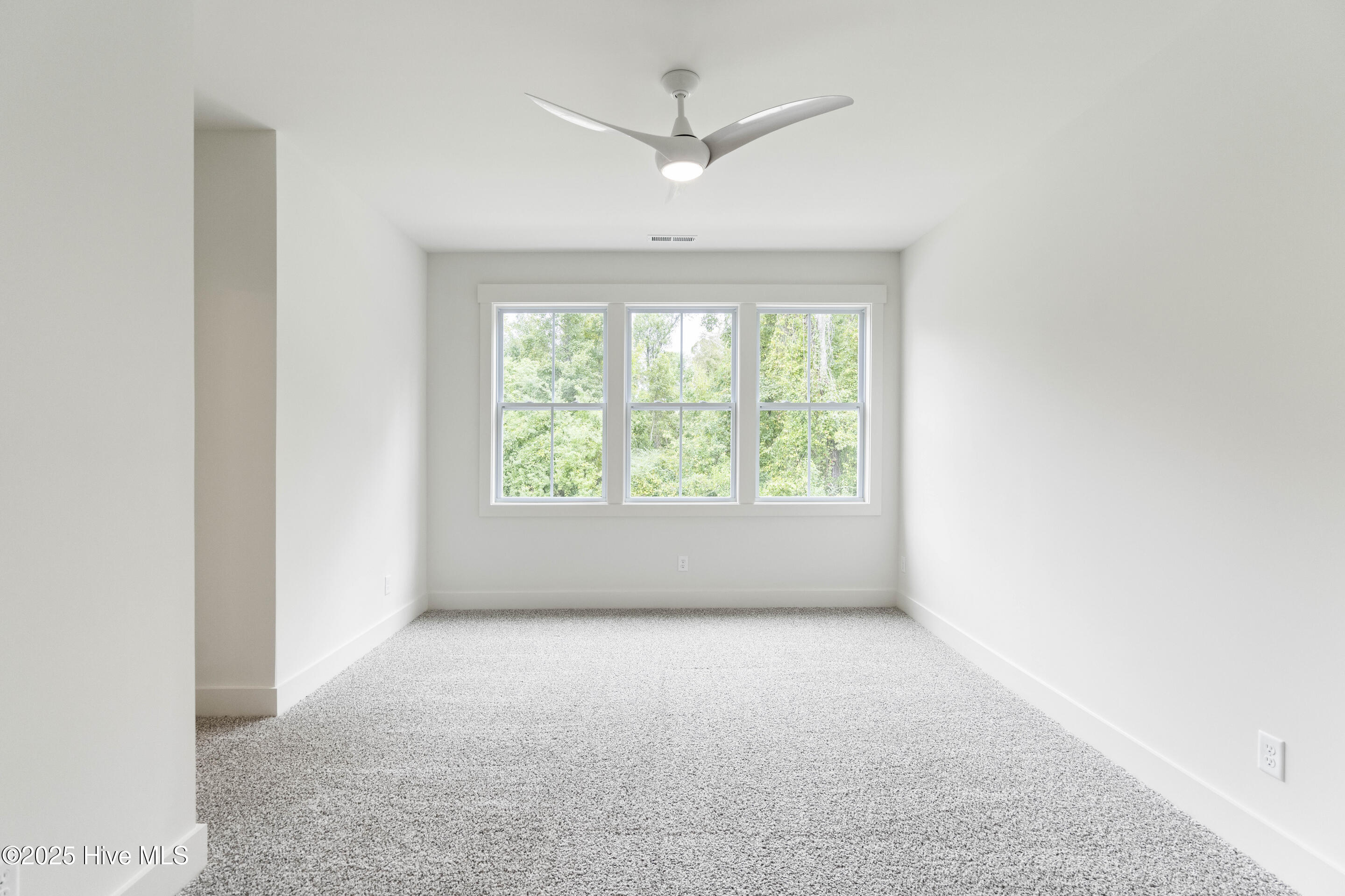 100519186 | Photo 20