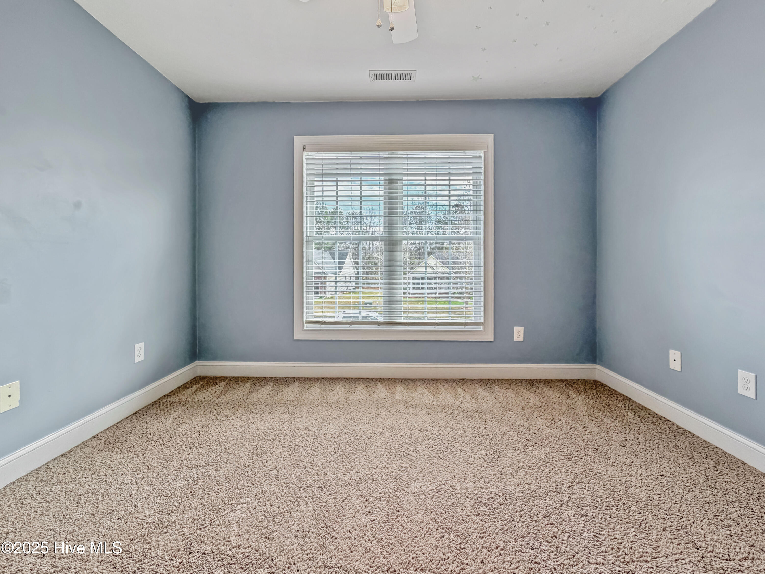 100543417 | Photo 38