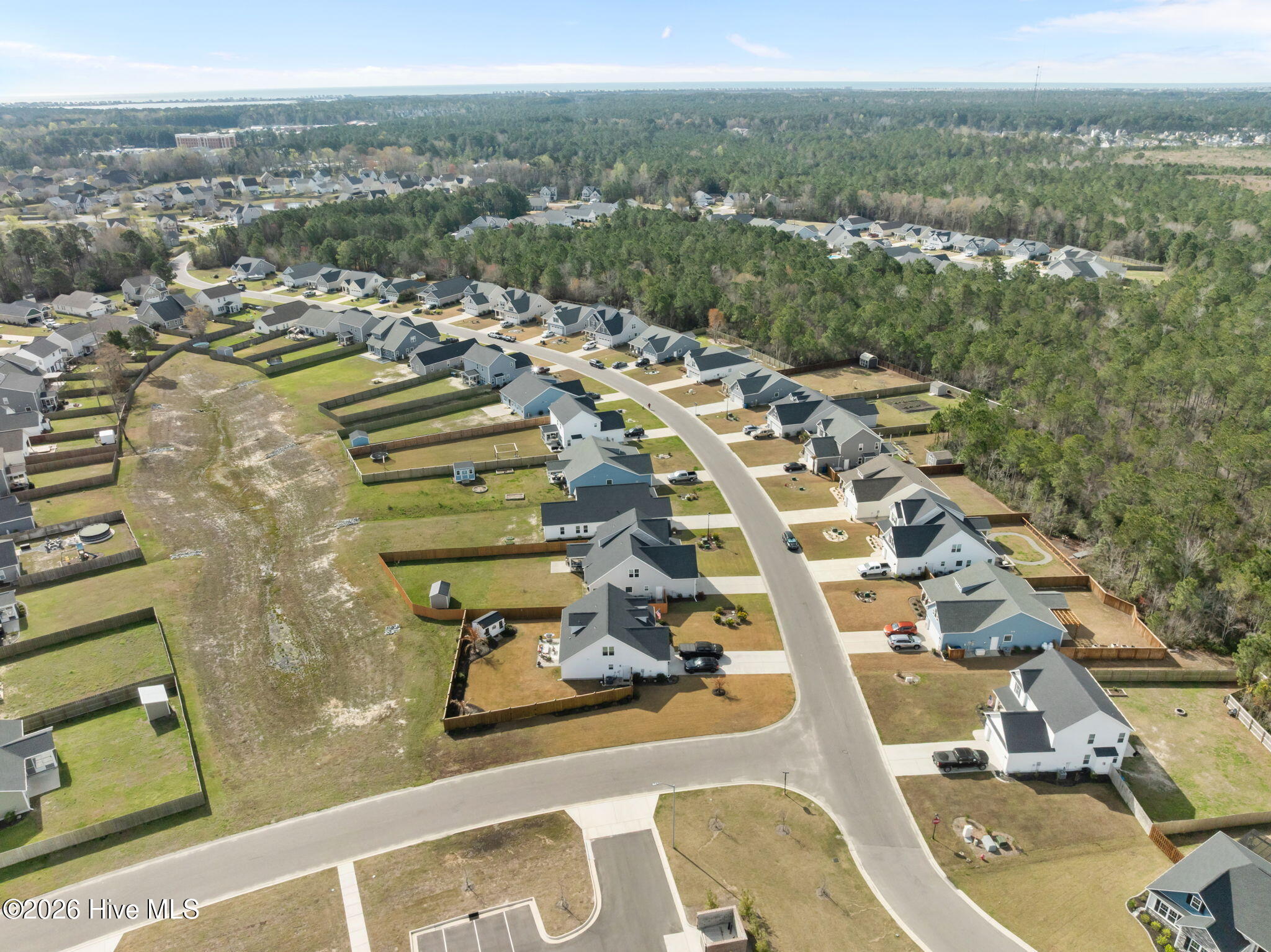 100561377 | Photo 51